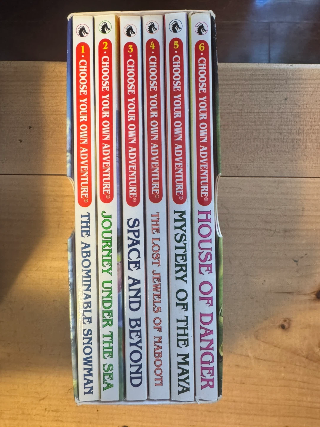 Choose Your Own Adventure Box Set - photo 2