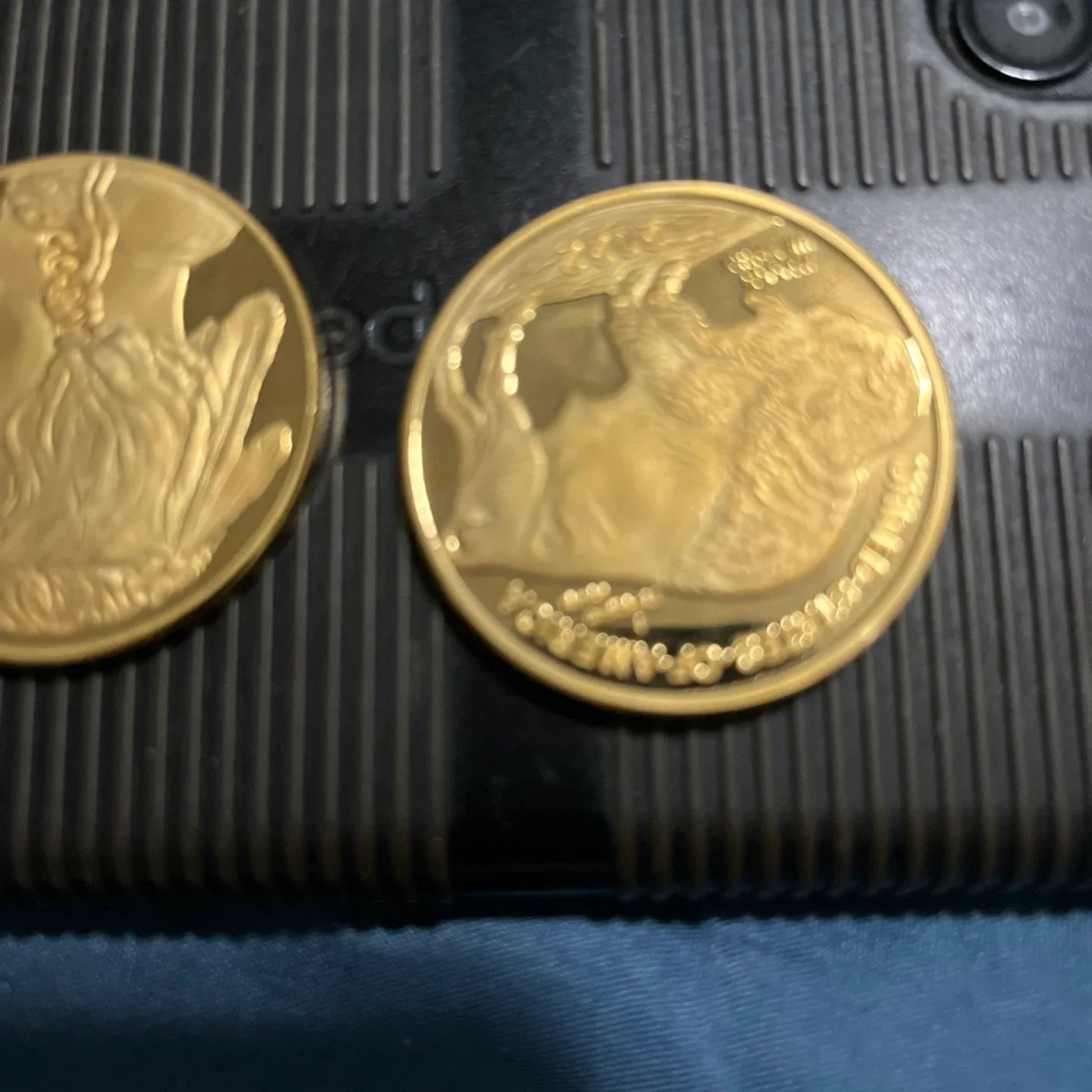 2 Gold Buffalo Rounds image indicator(4)