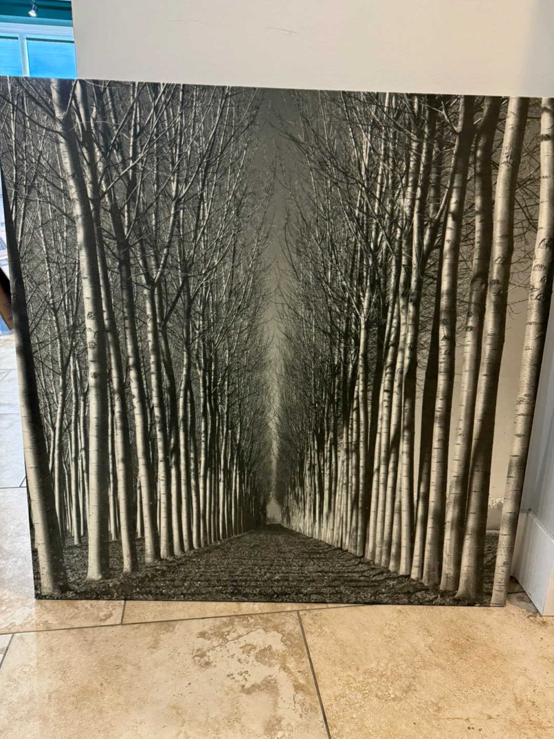 Tree Canvas