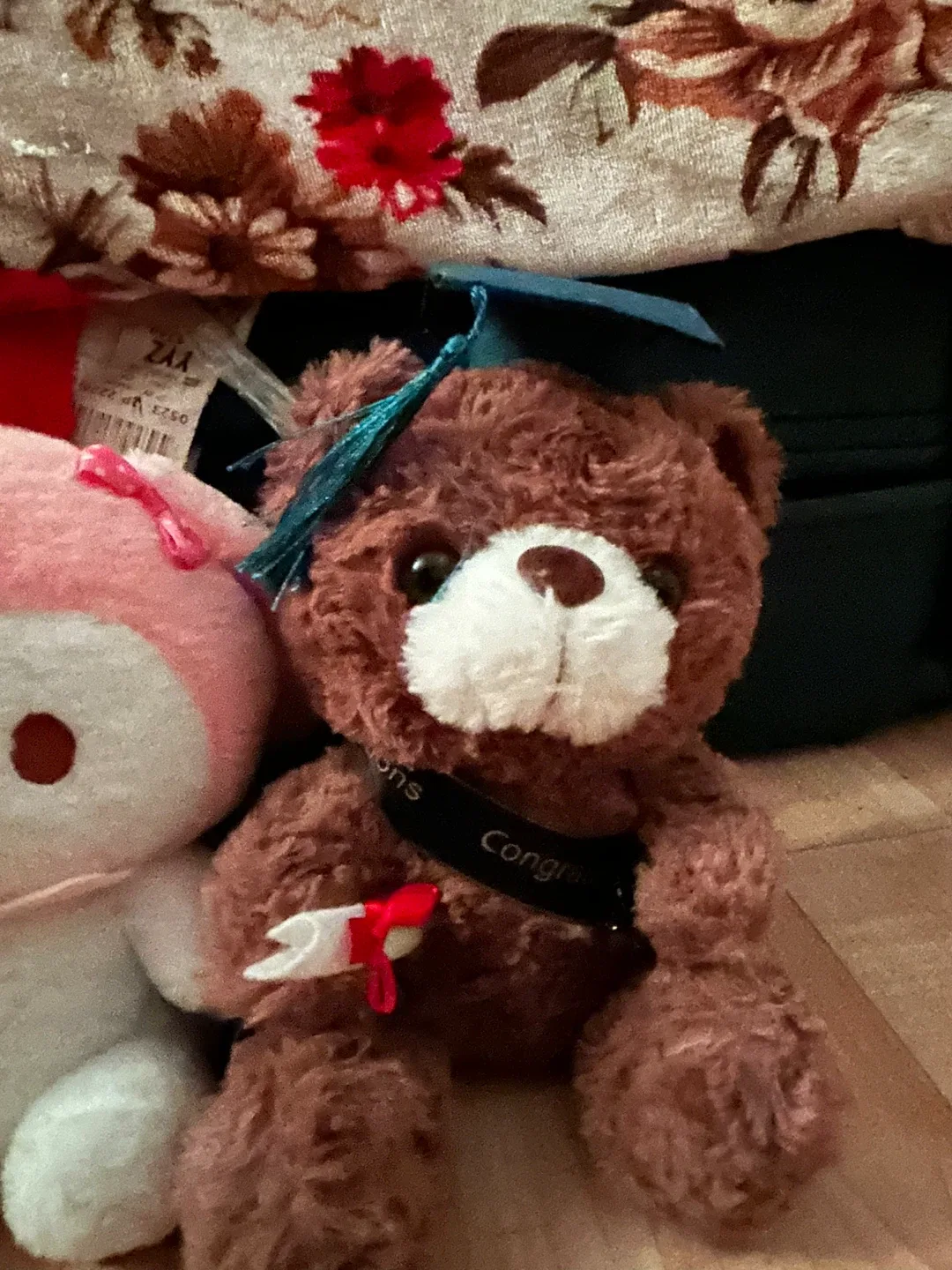 Plush Doraemon and Teddy Bear Bundle image indicator(3)