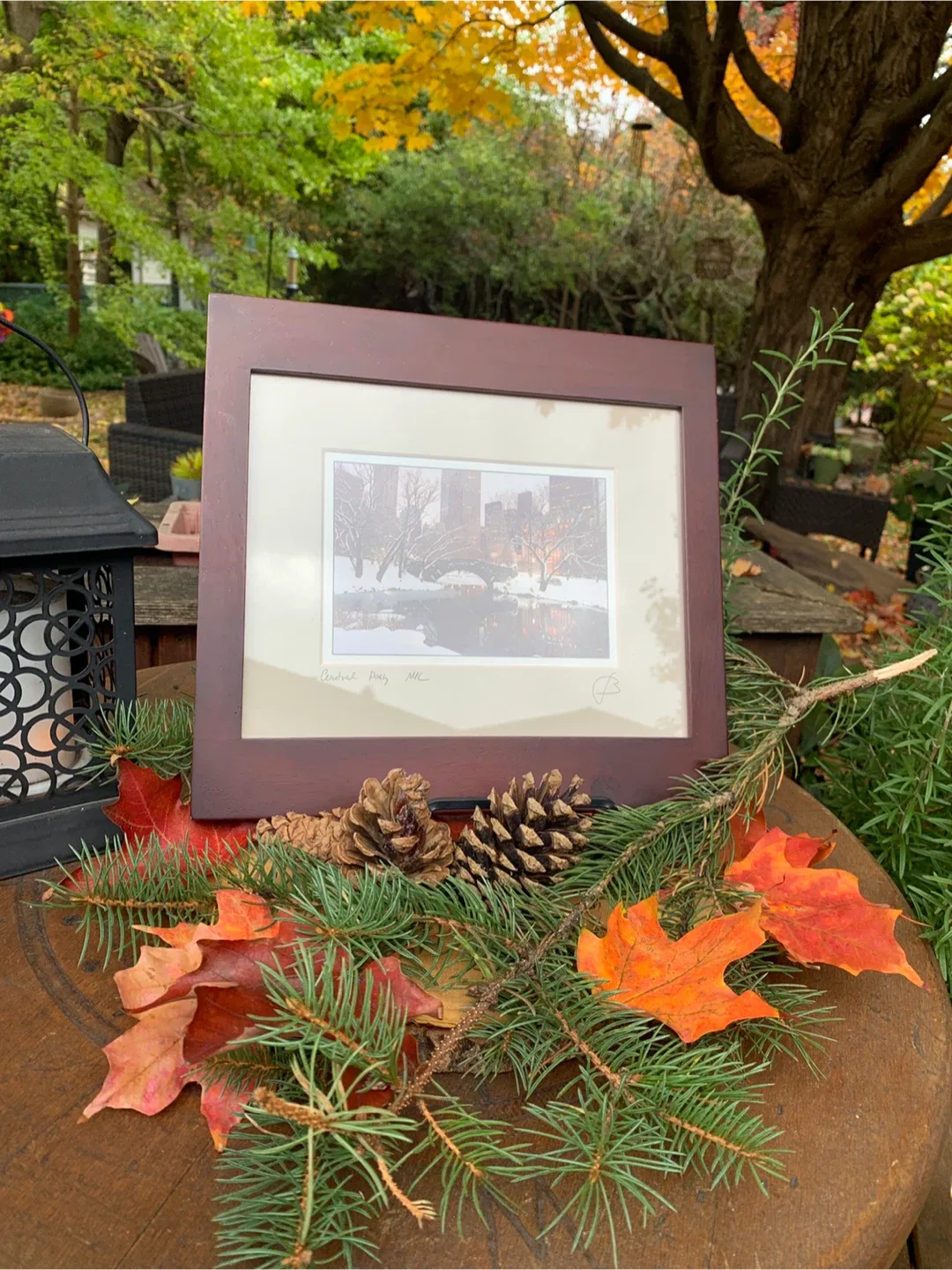 Framed Photo Art Central Park Print image indicator(6)