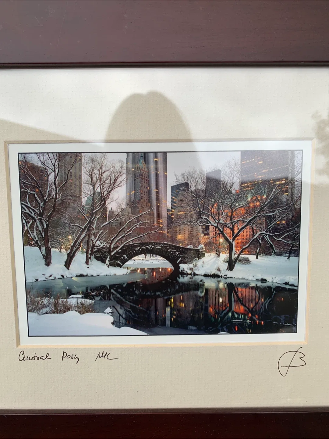 Framed Photo Art Central Park Print image indicator(7)