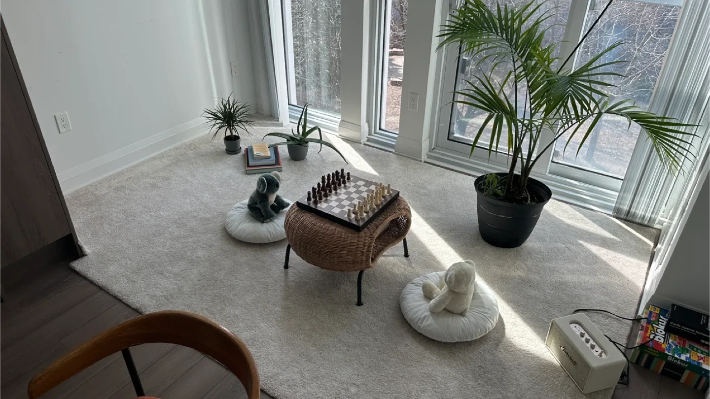 Last Call - IKEA footstool with storage image indicator(5)