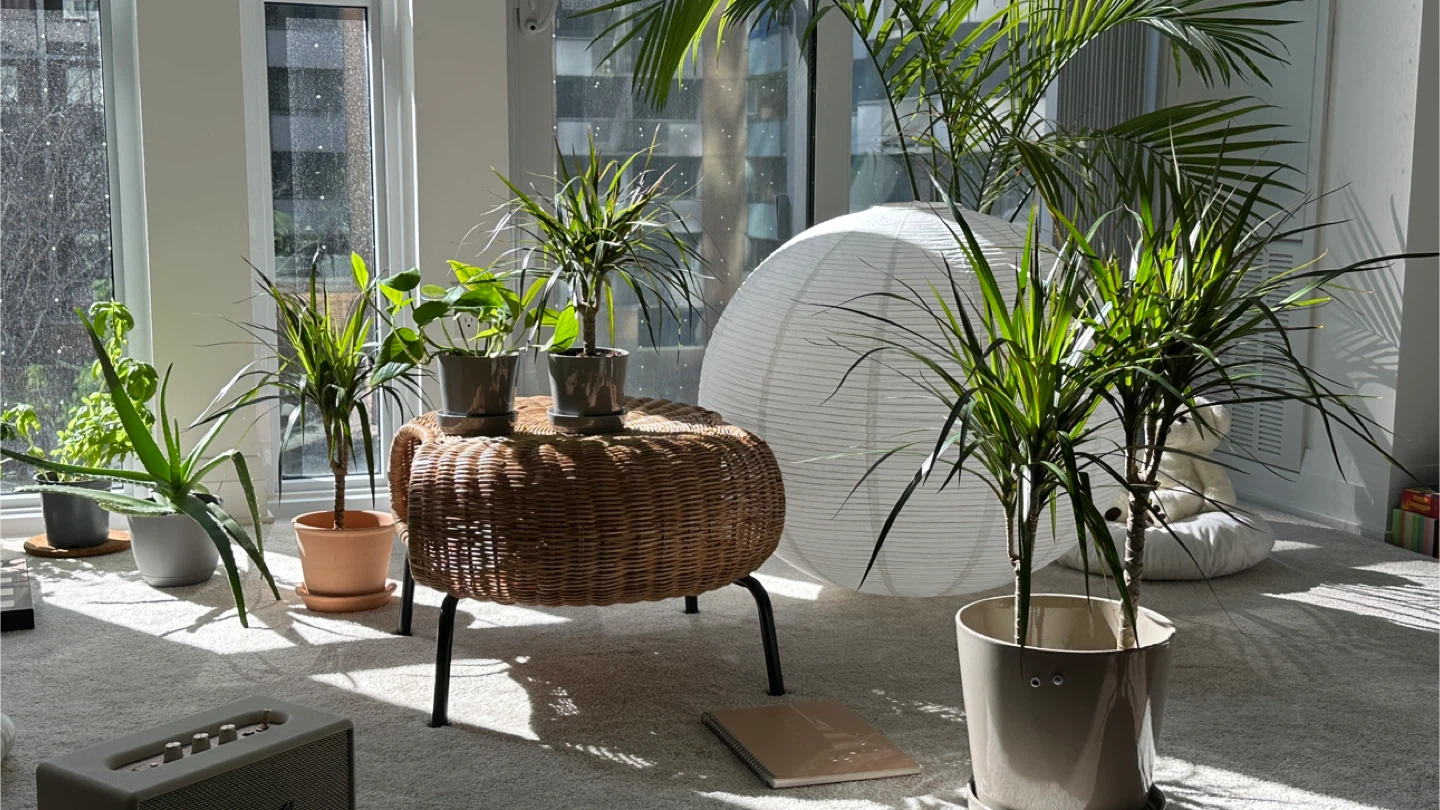 Last Call - IKEA footstool with storage - photo 3