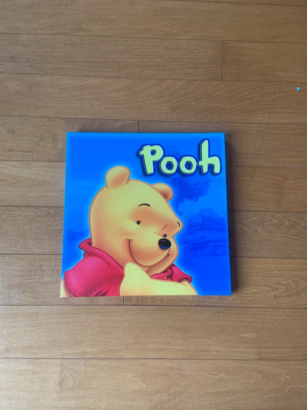 Winnie the Pooh Wall Art