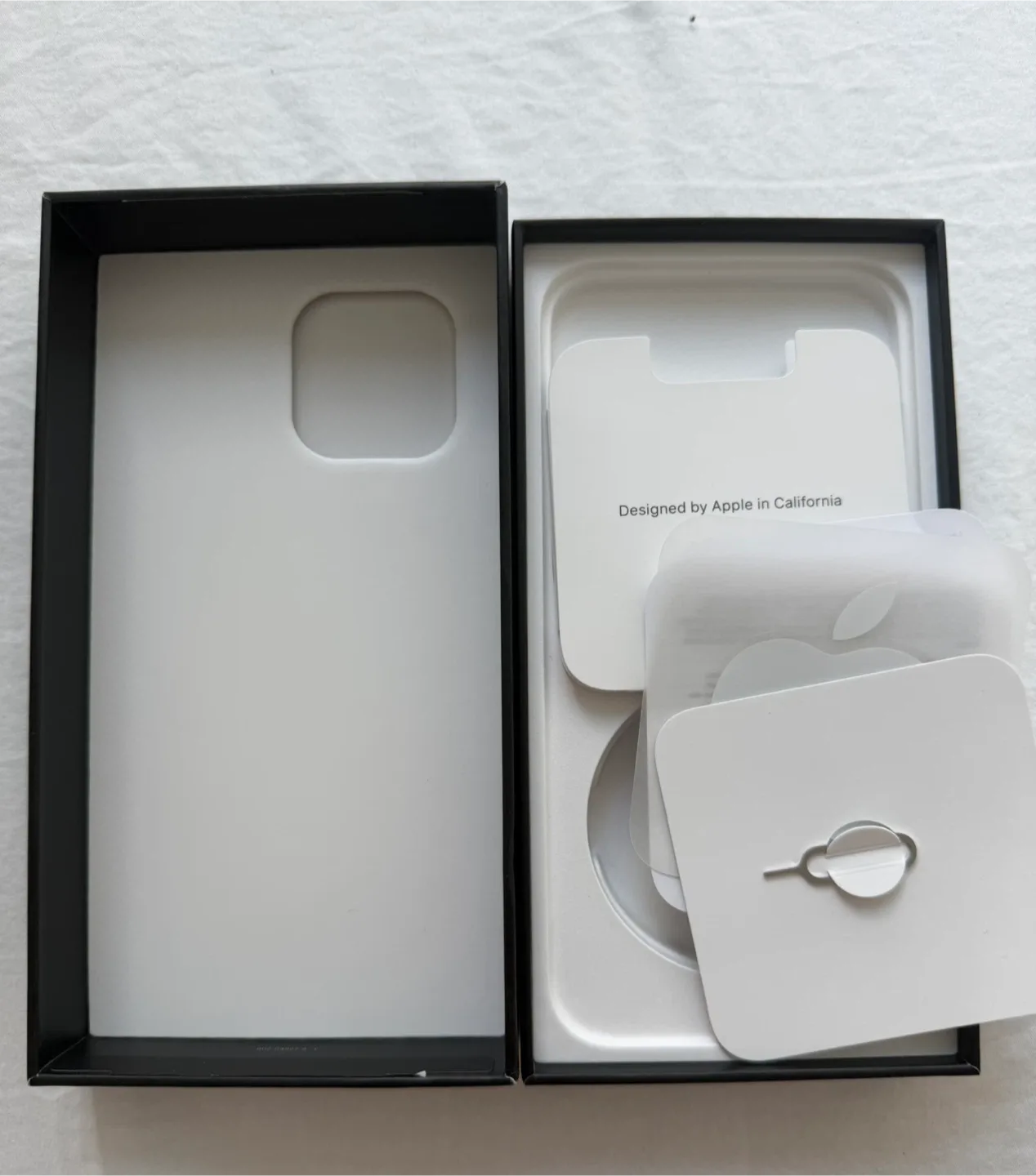 iPhone 13 Pro and Pro Max Boxes - Sierra Blue & Silver image indicator(2)