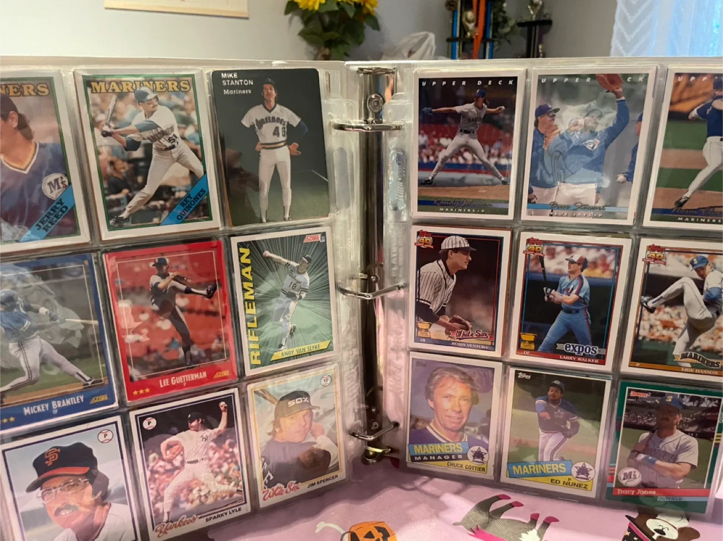 Baseball Card Collection Binder image indicator(2)