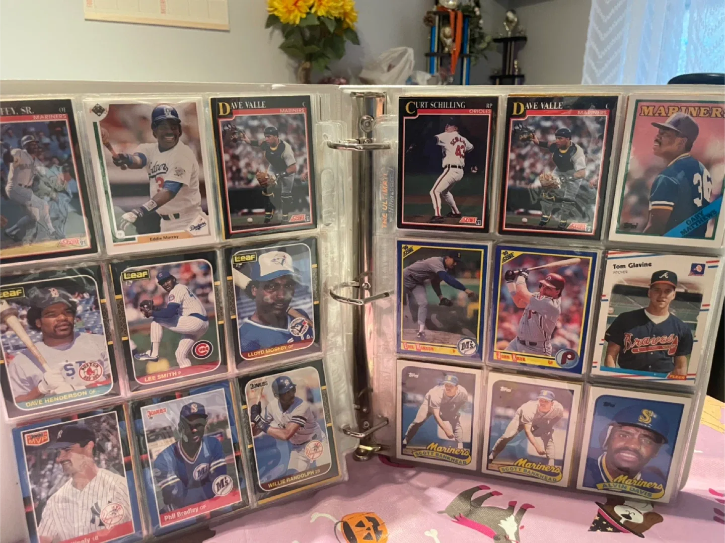 Baseball Card Collection Binder image indicator(6)