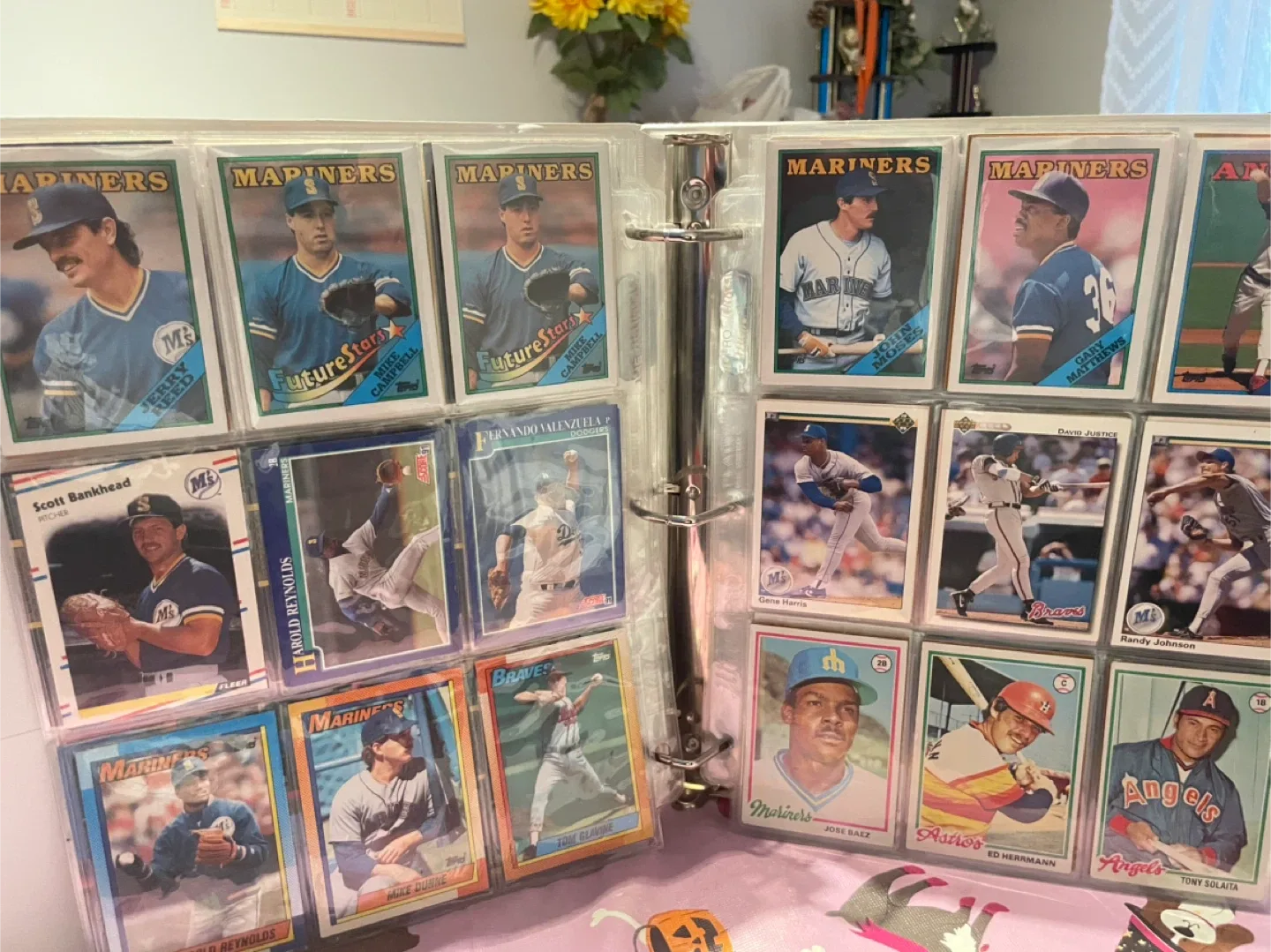 Baseball Card Collection Binder image indicator(3)