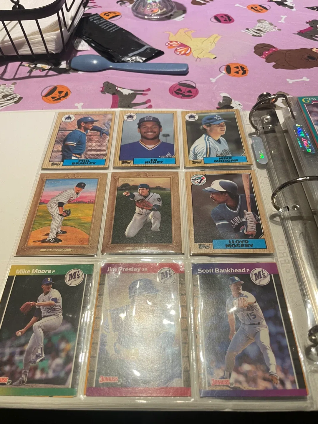 Baseball Card Collection Binder image indicator(8)