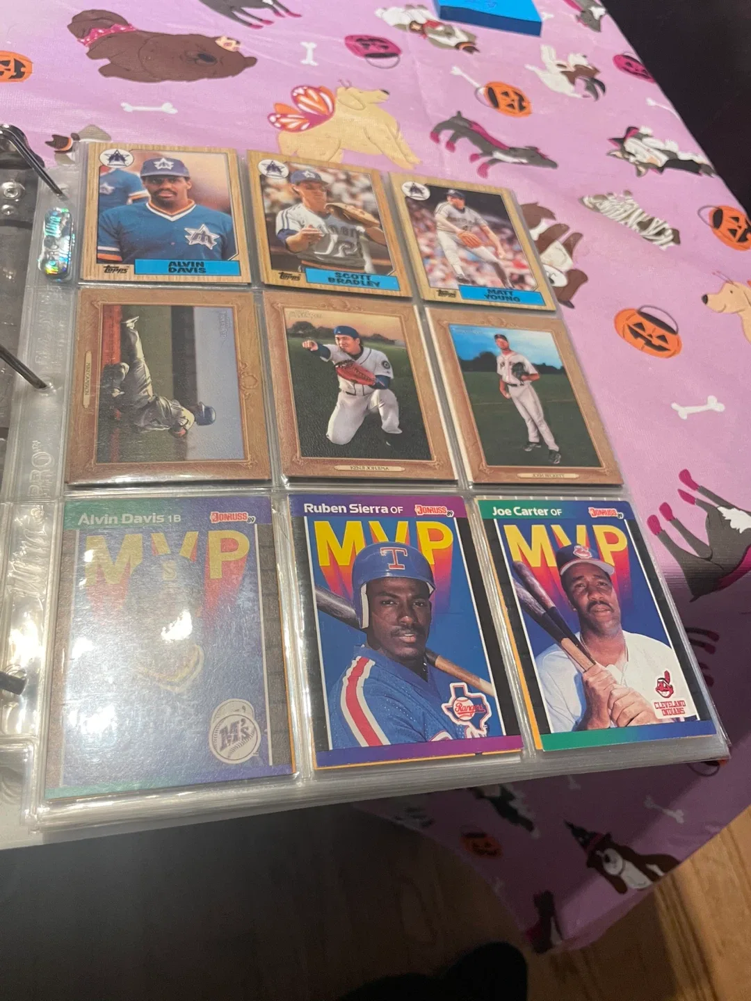 Baseball Card Collection Binder image indicator(9)