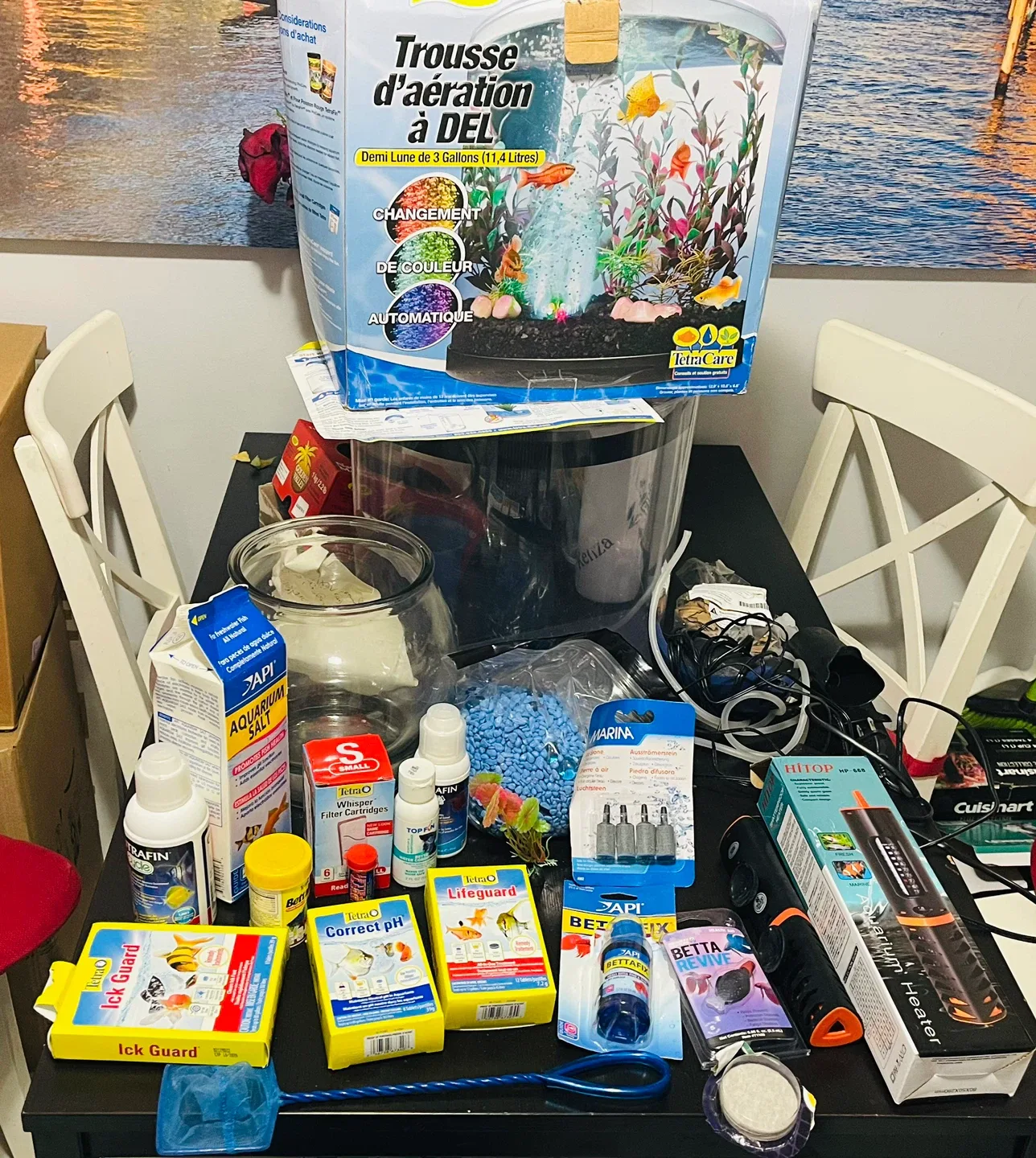 Tetra Bubbling LED Aquarium Kit - 3 Gallon Half Moon image indicator(3)