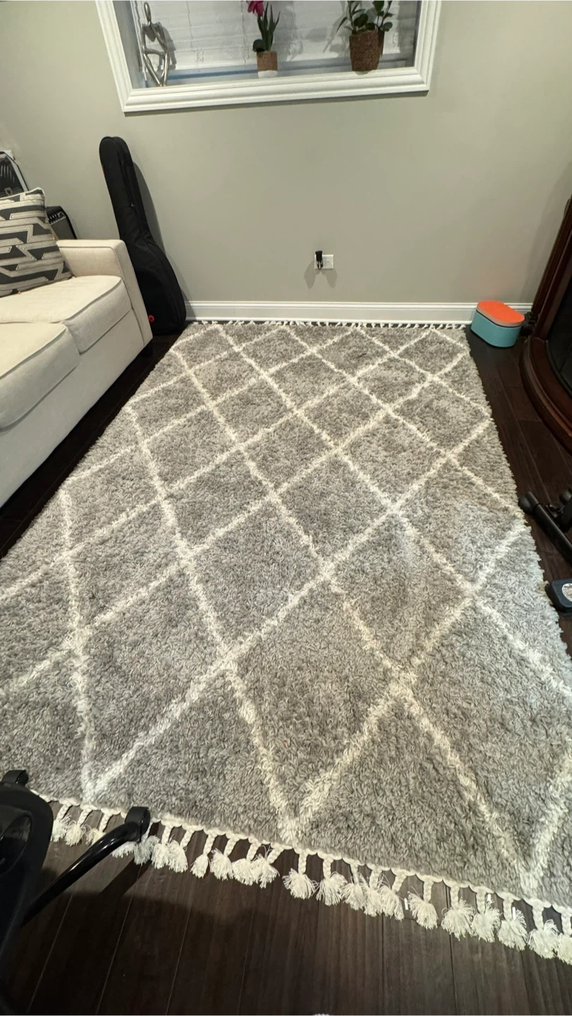 Gray & White Shag Rug