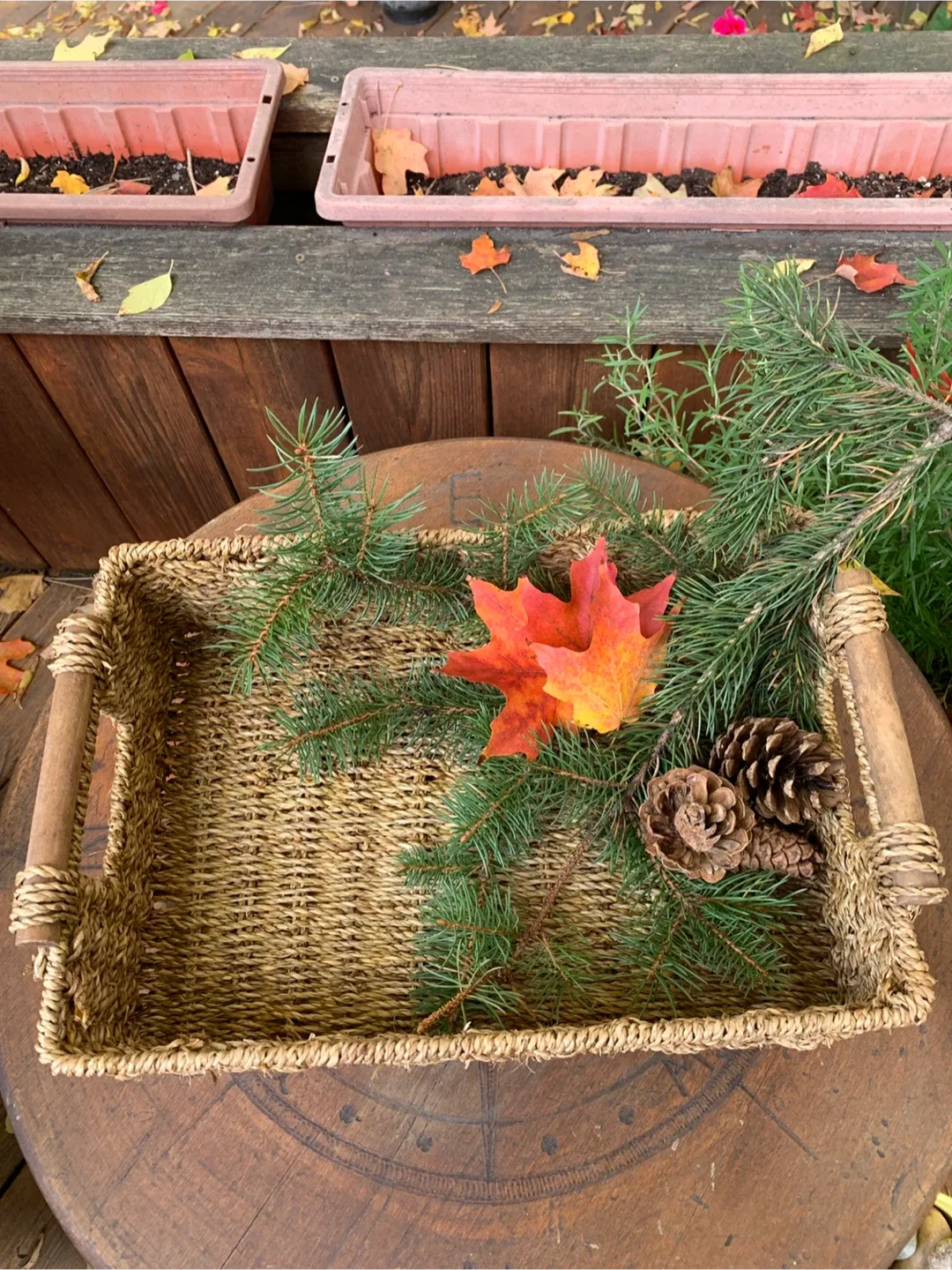 Woven Seagrass Basket with Handles image indicator(2)