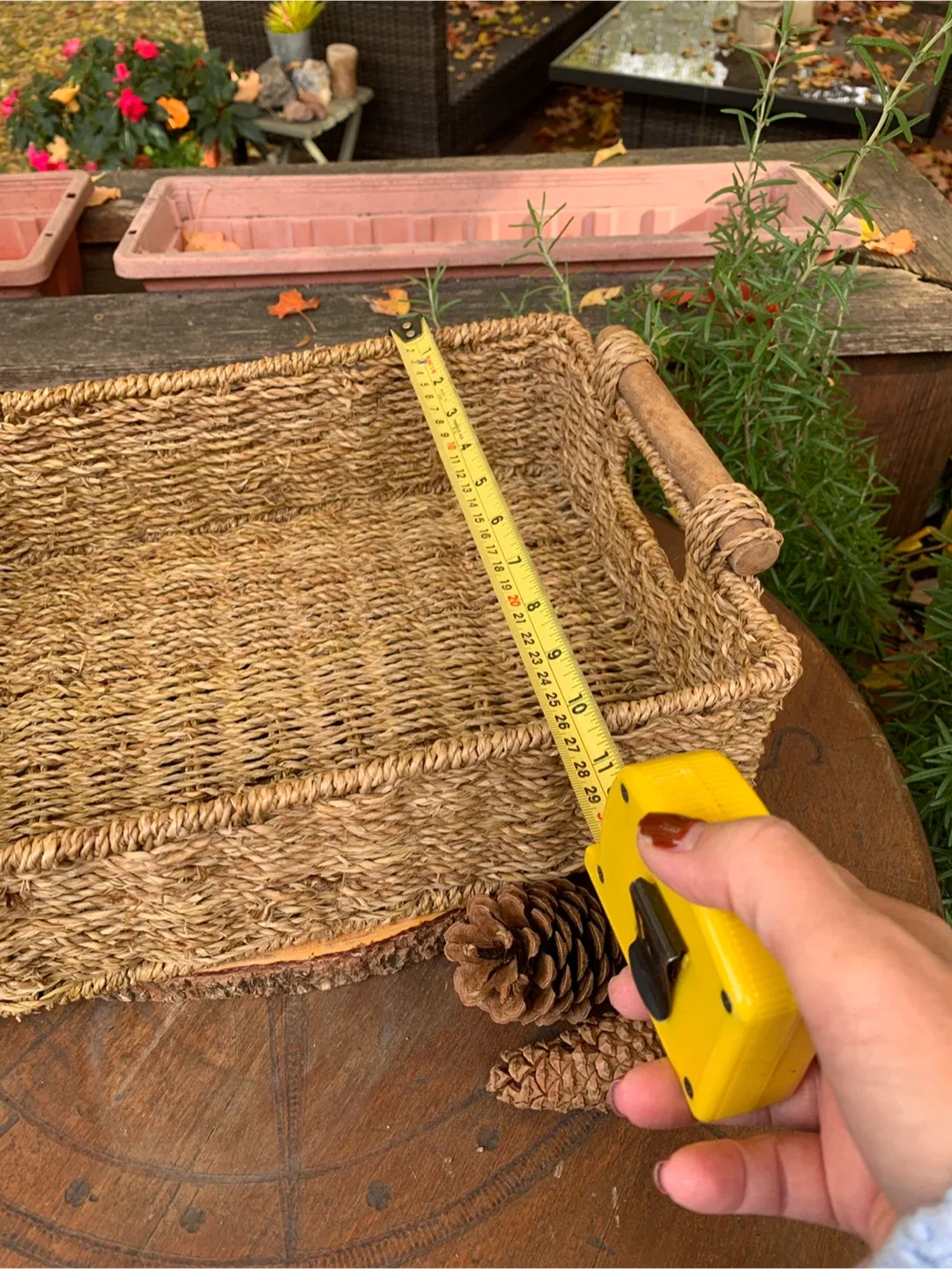 Woven Seagrass Basket with Handles image indicator(10)