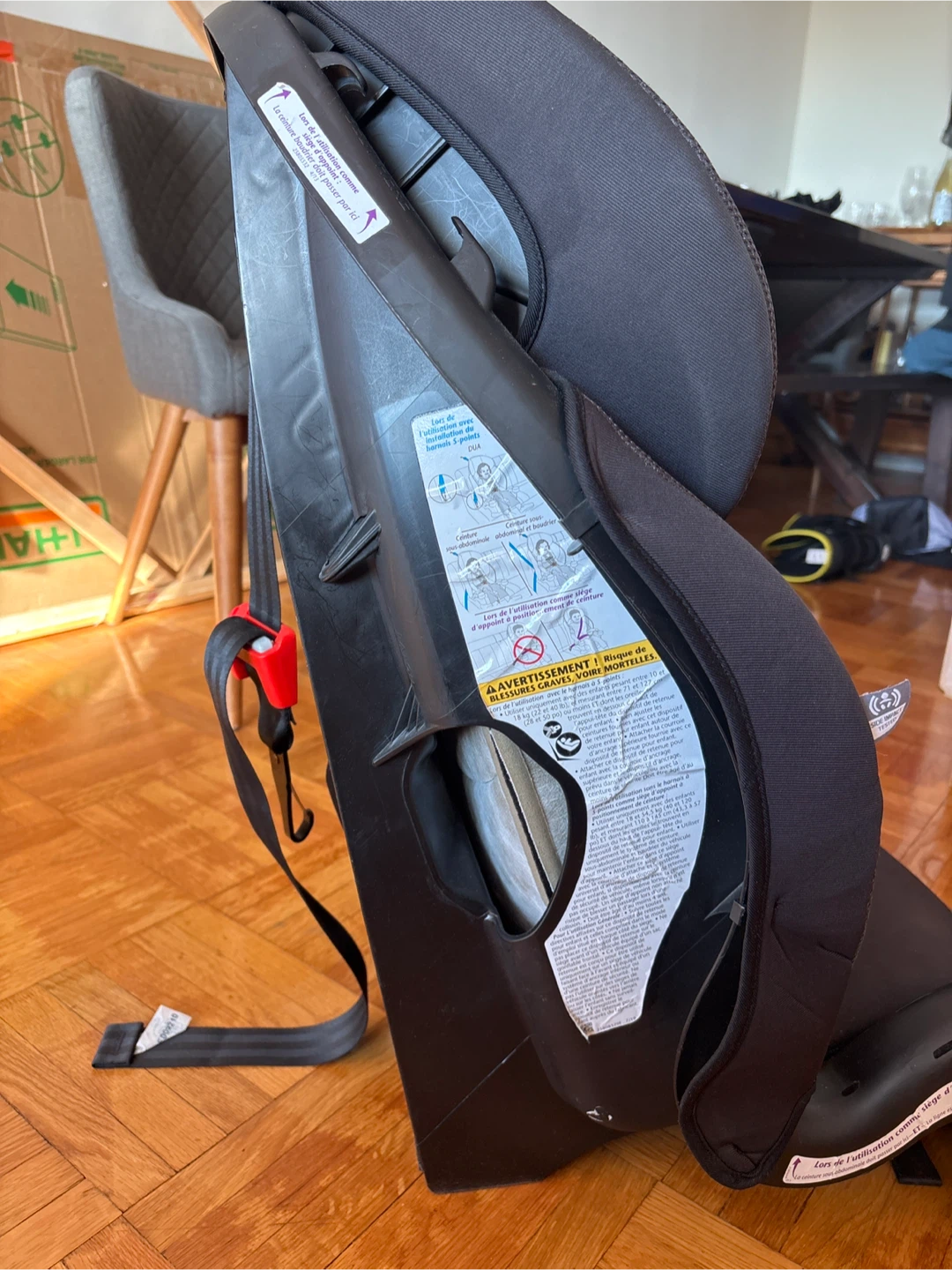Evenflo Chase Plus Car Seat - Expires 2026 Dec 06 - photo 2