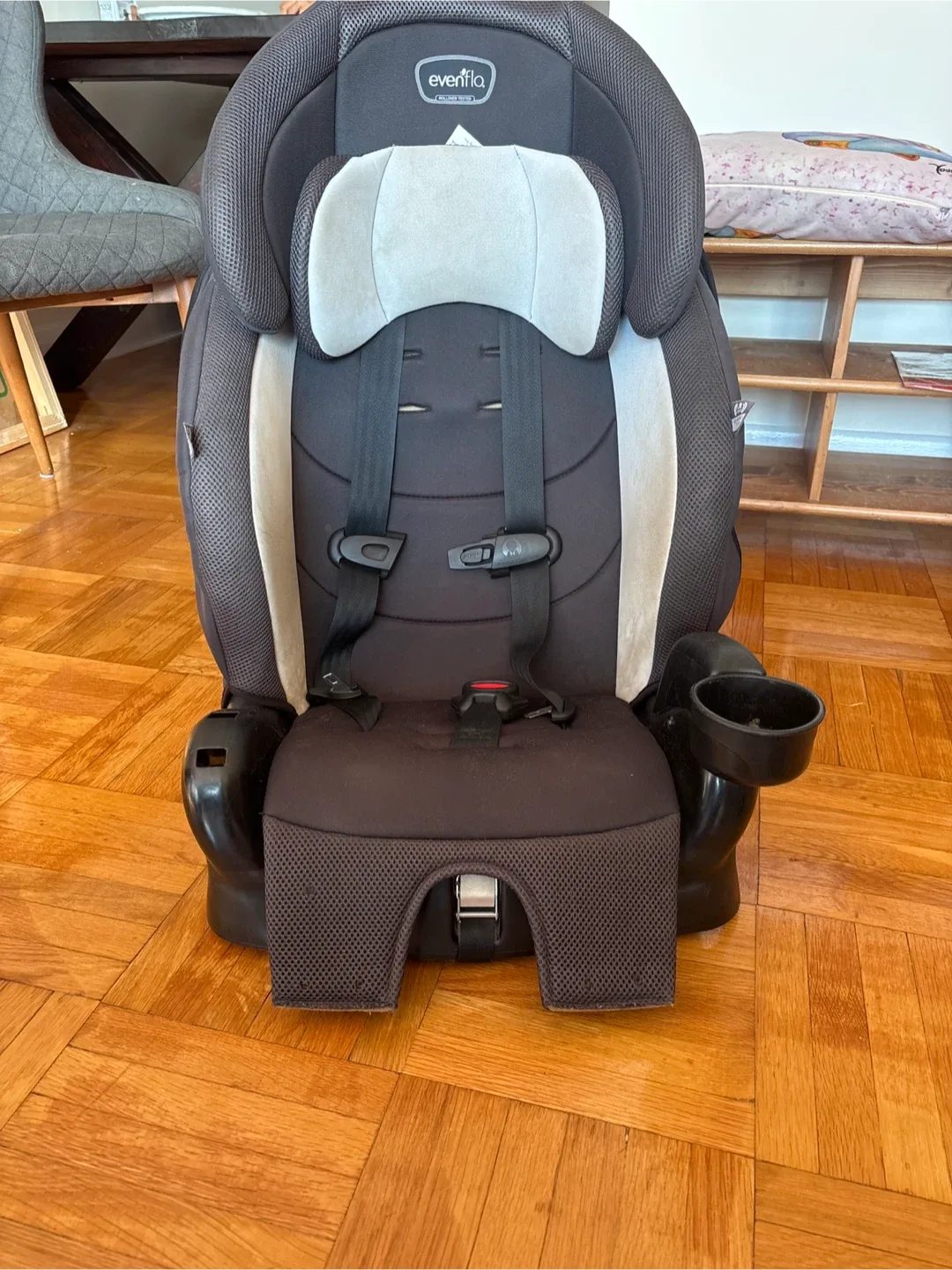 Evenflo Chase Plus Car Seat - Expires 2026 Dec 06