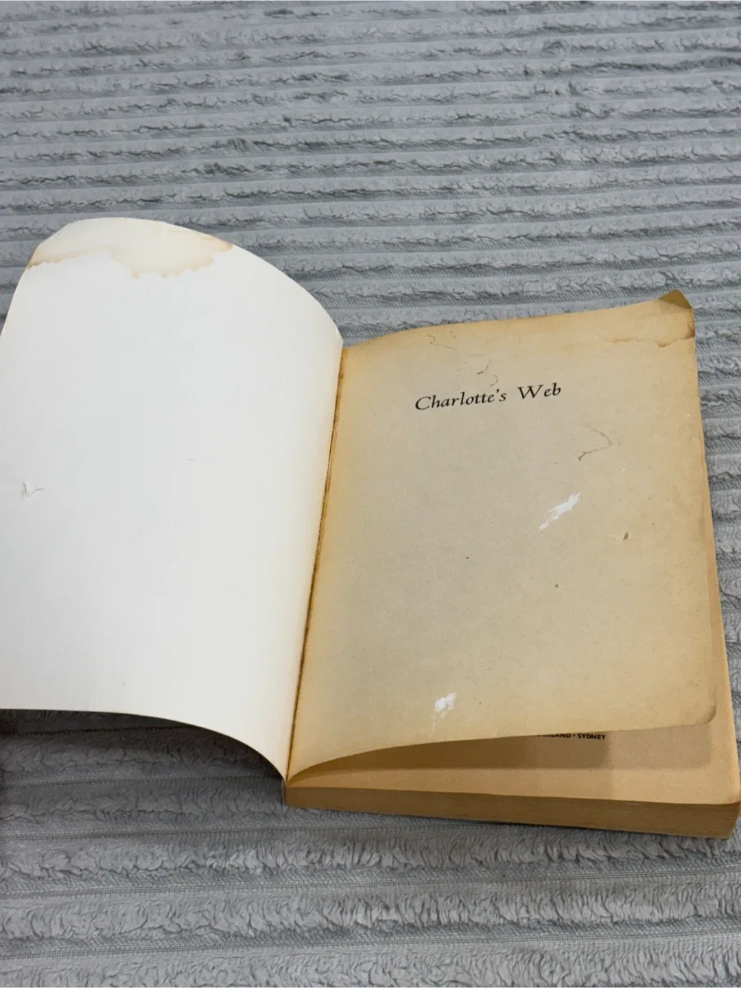 Charlotte's Web by E.B. White image indicator(4)