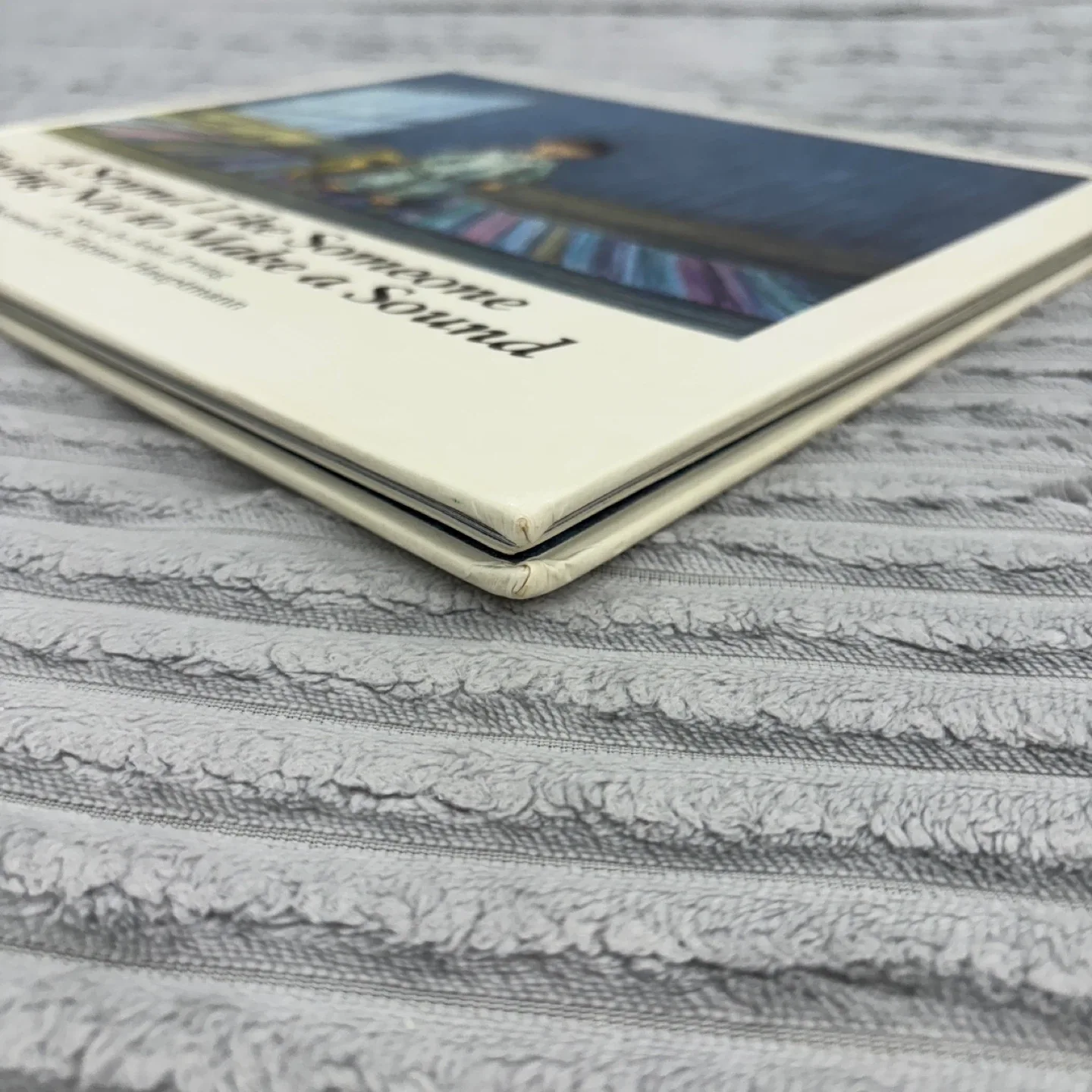 A Sound Like Someone Trying Not to Make a Sound by John Irving image indicator(6)