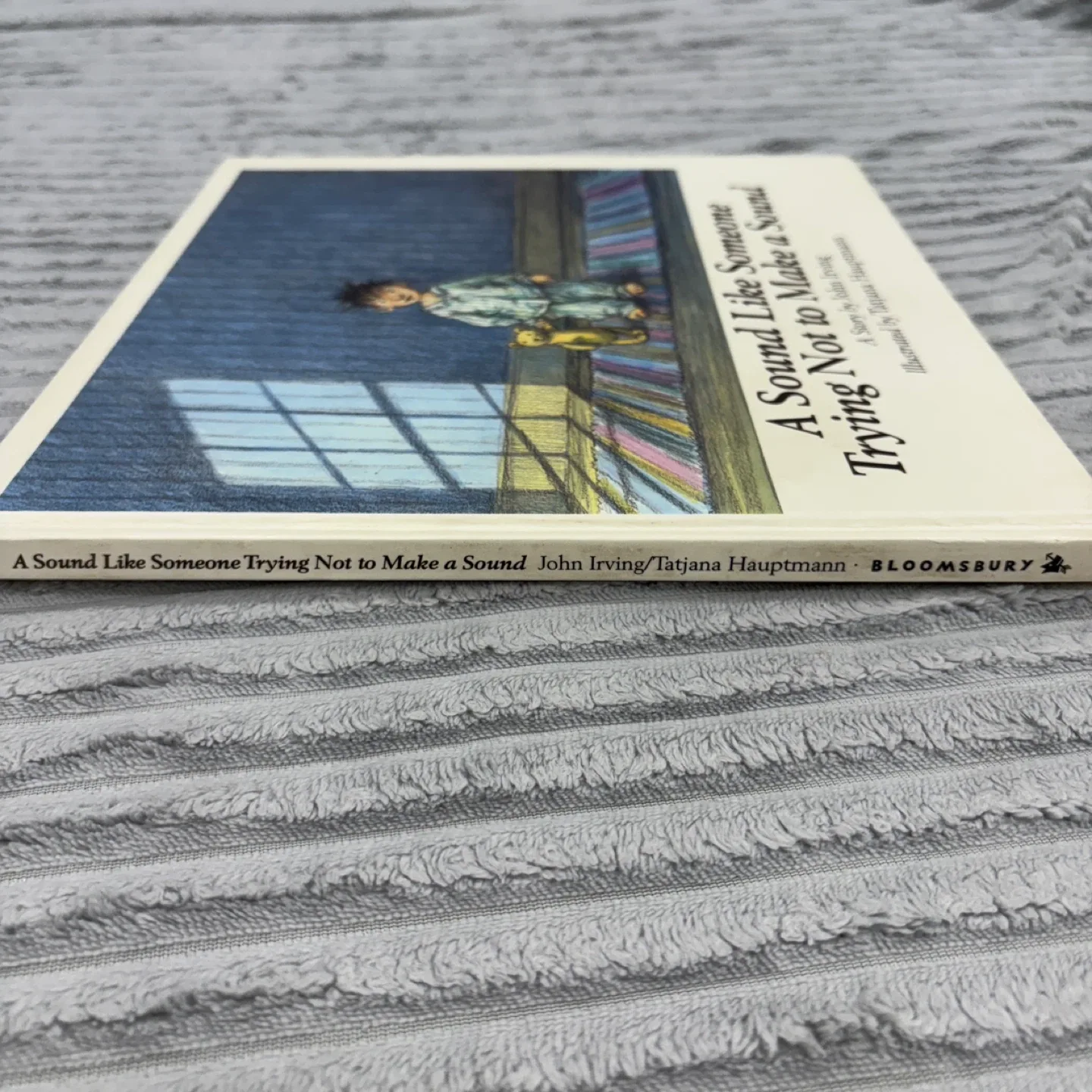 A Sound Like Someone Trying Not to Make a Sound by John Irving image indicator(5)