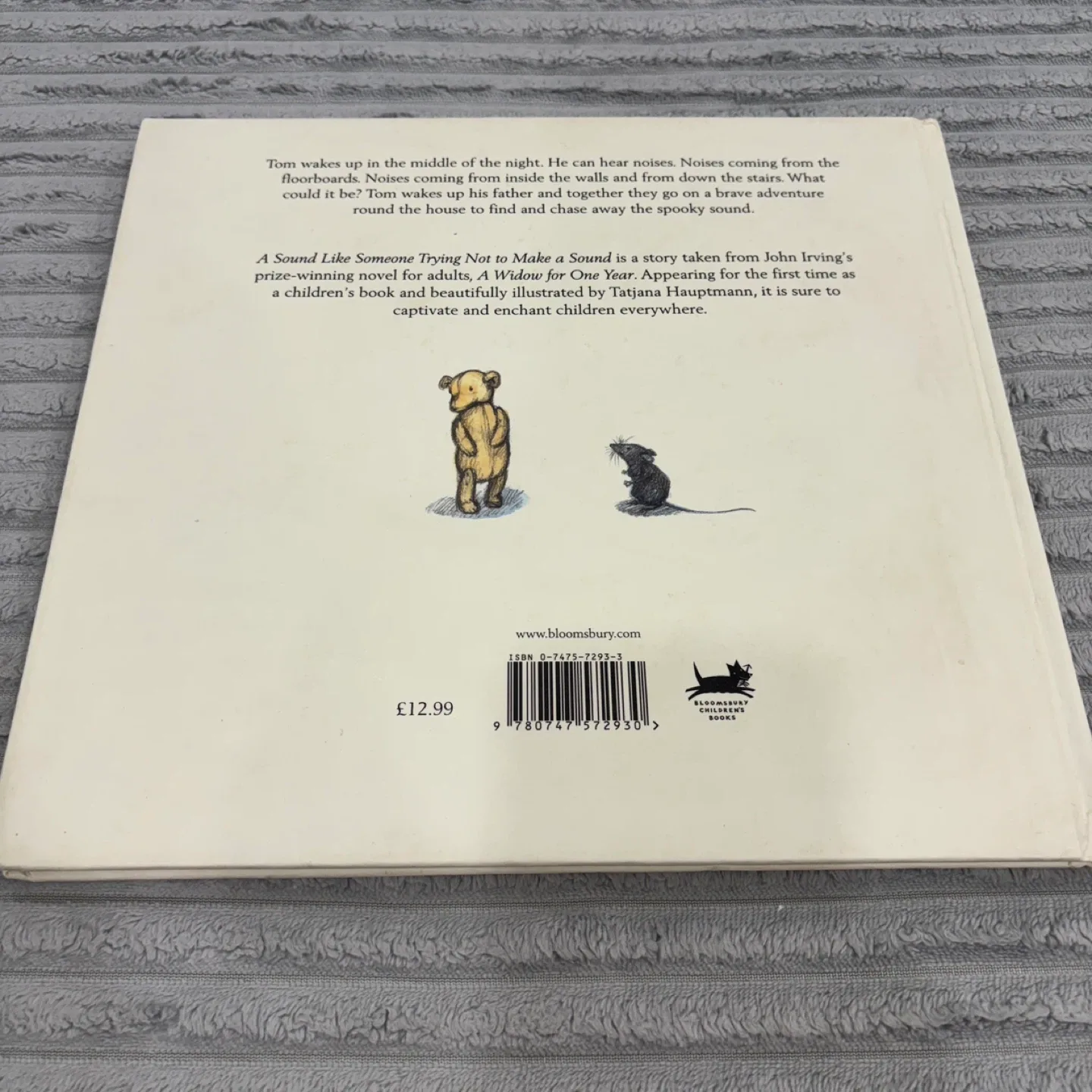 A Sound Like Someone Trying Not to Make a Sound by John Irving image indicator(2)