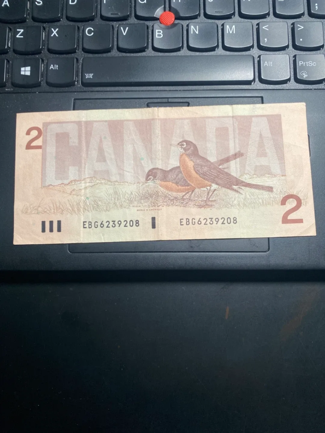 Canadian 2 dollar image indicator(2)