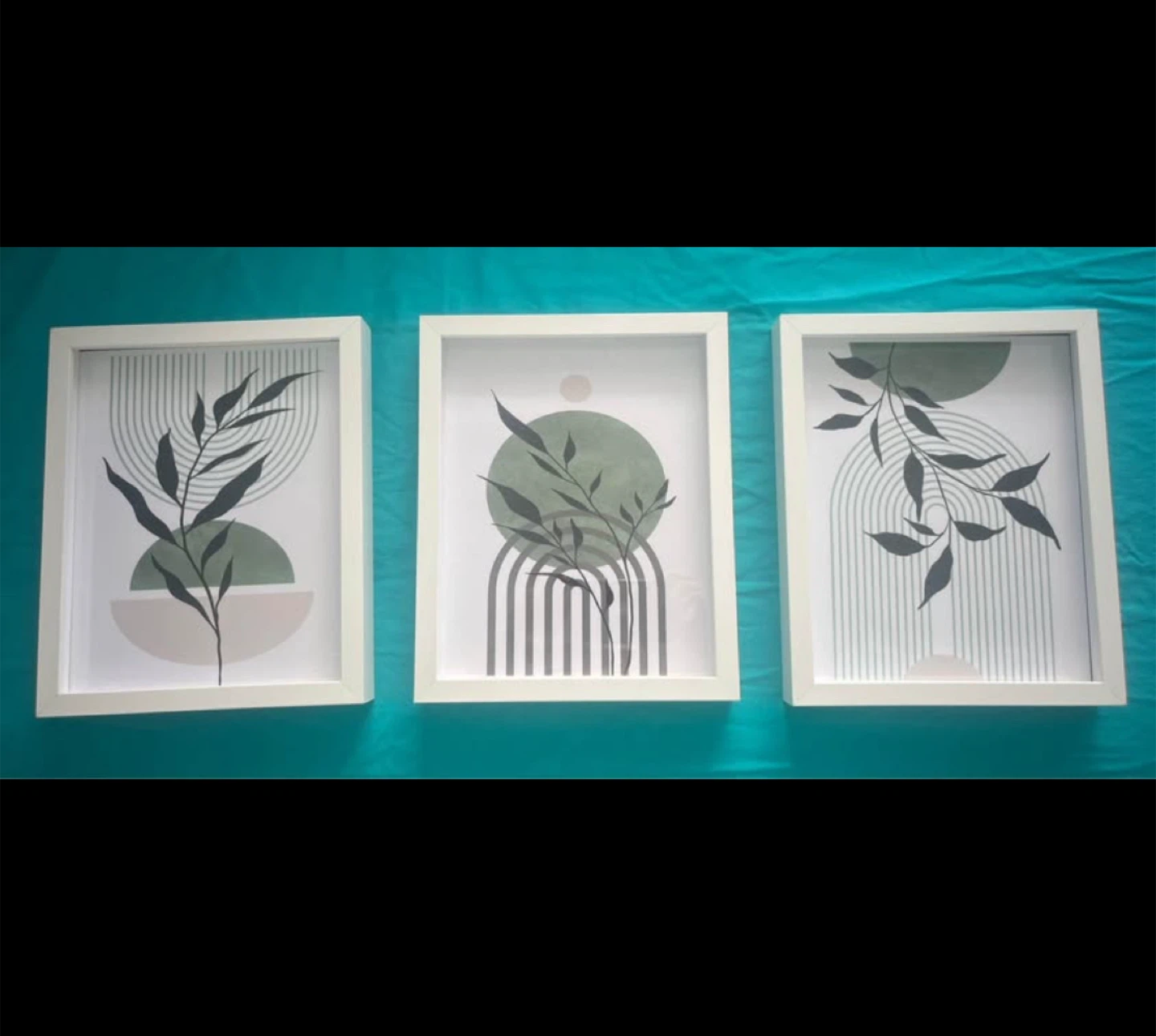 Set of 3 Framed Botanical Prints