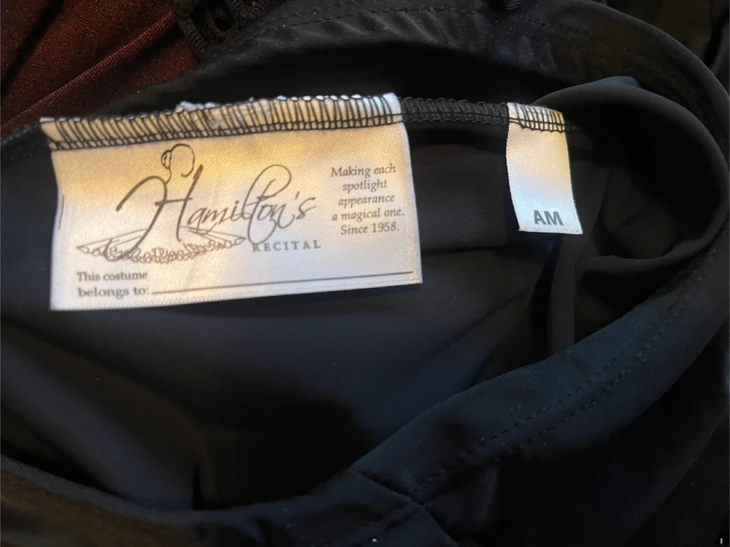 Hamilton's Recital Black Costume, Adult Medium - photo 3