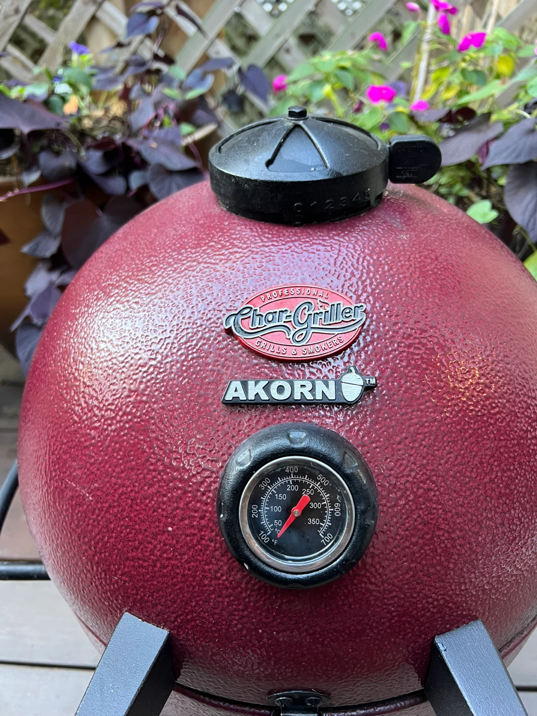 JR AKORN Kamado Kooker Char Griller - photo 3
