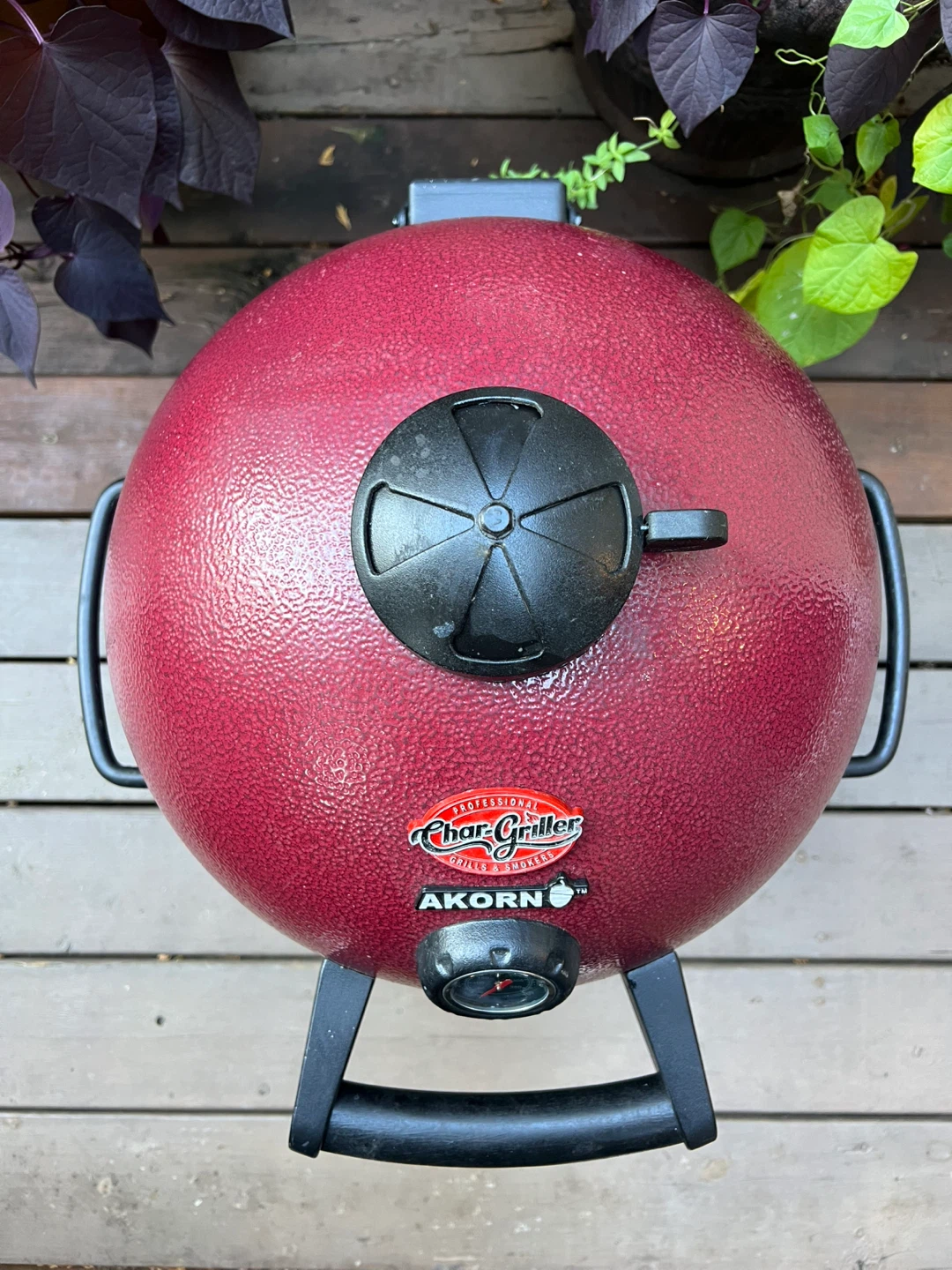 JR AKORN Kamado Kooker Char Griller - photo 5