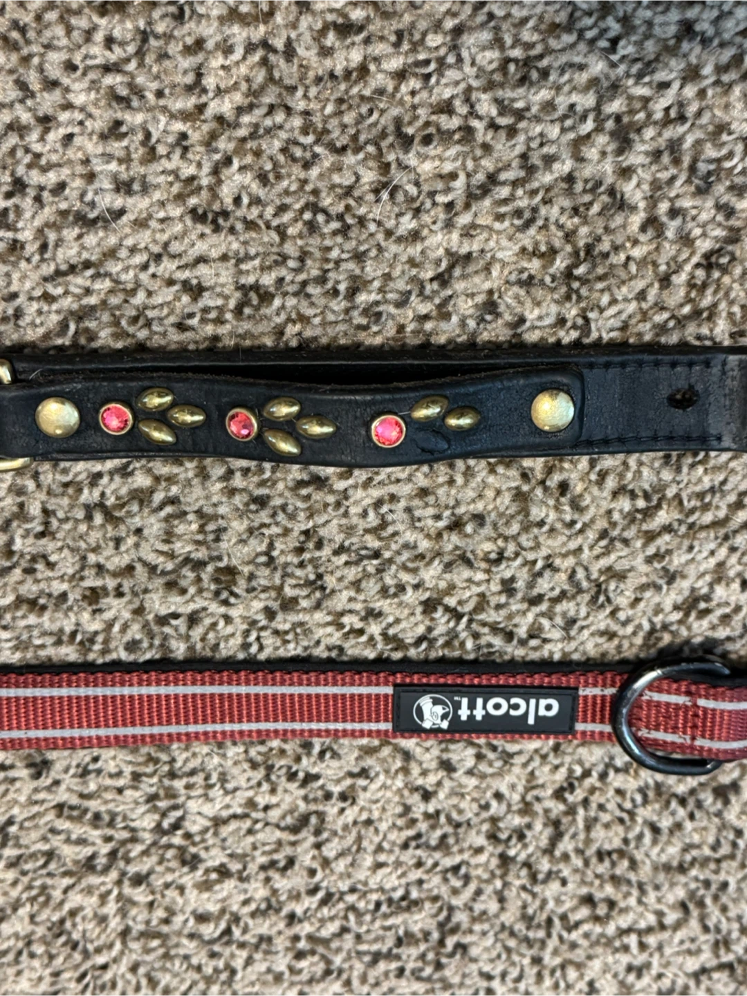 California Collar Co. Dog Collars - Two Collars