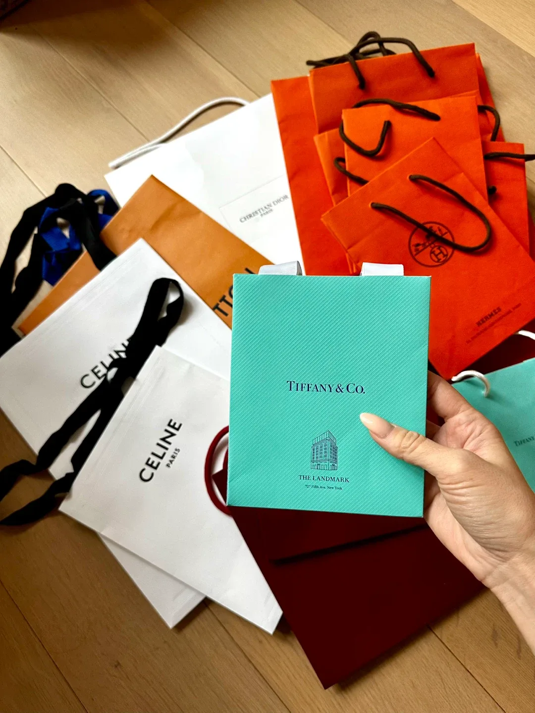 Luxury Brand Shopping Bags image indicator(2)