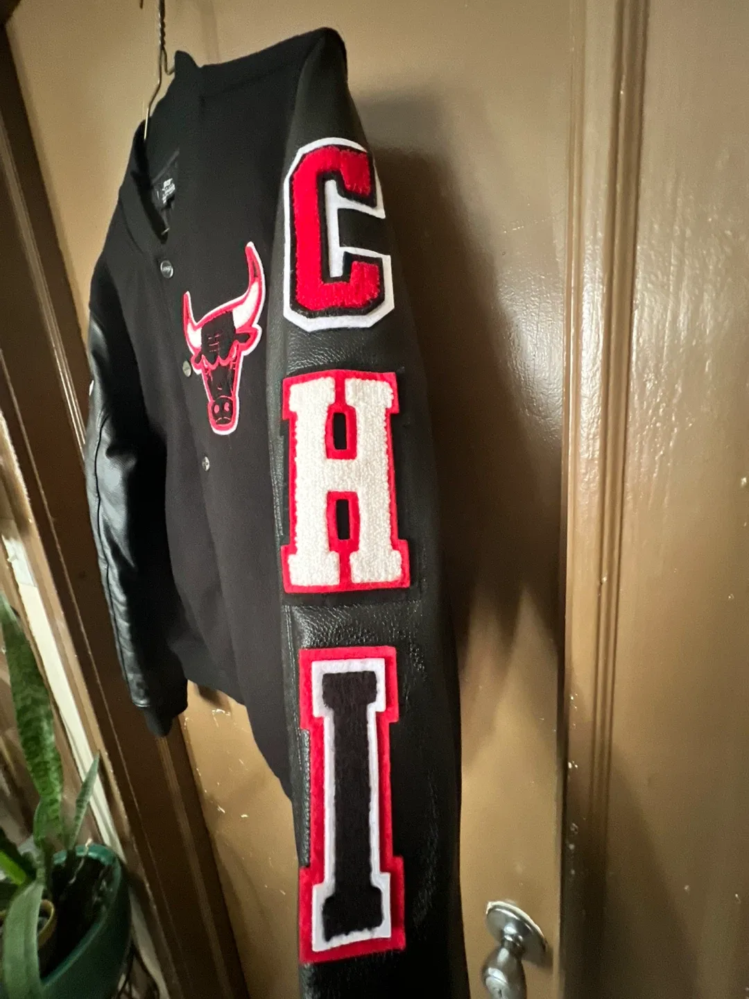 Pro Standard Chicago Bulls Varsity Jacket image indicator(5)