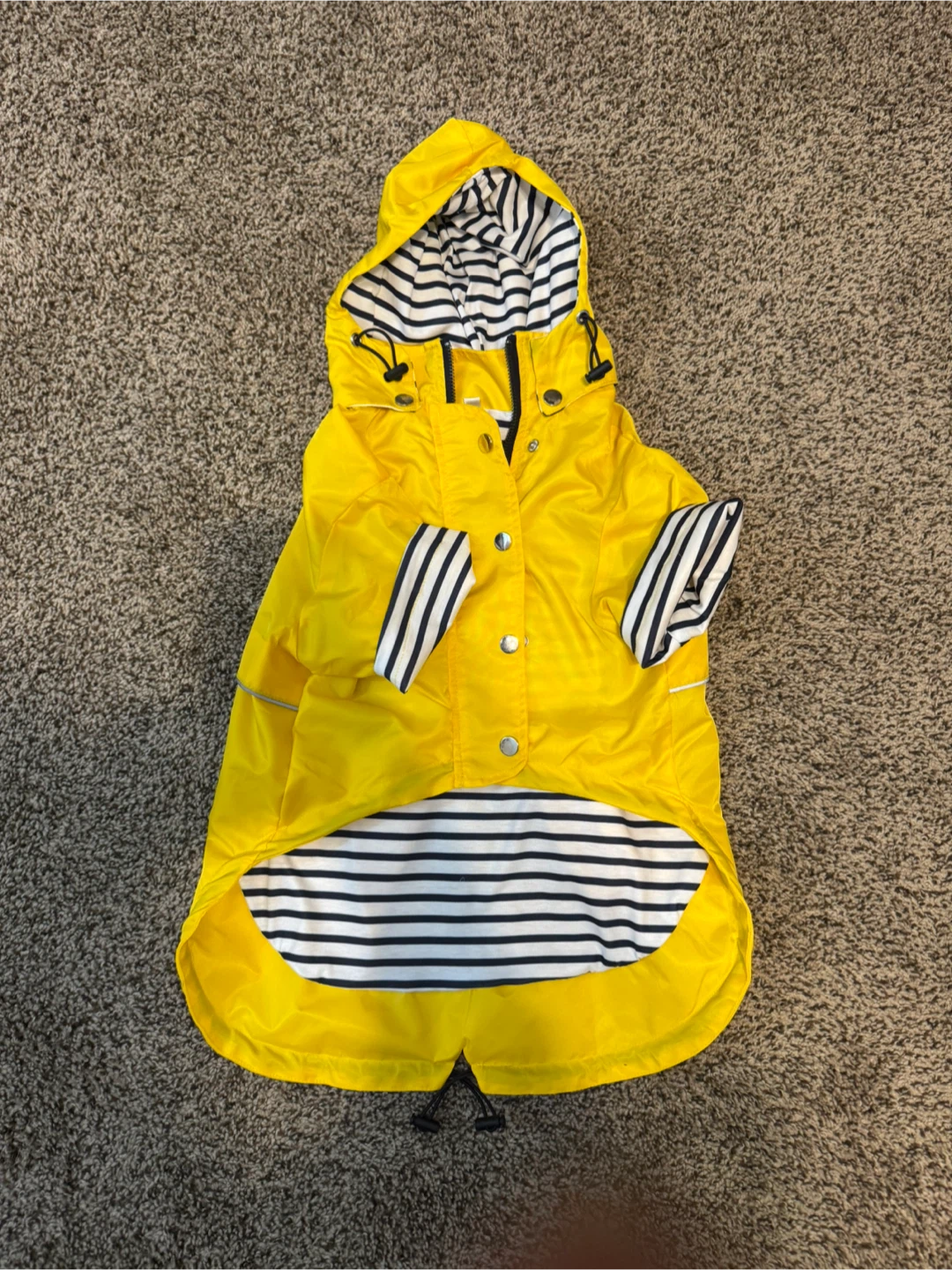 Yellow Dog Raincoat, Size L