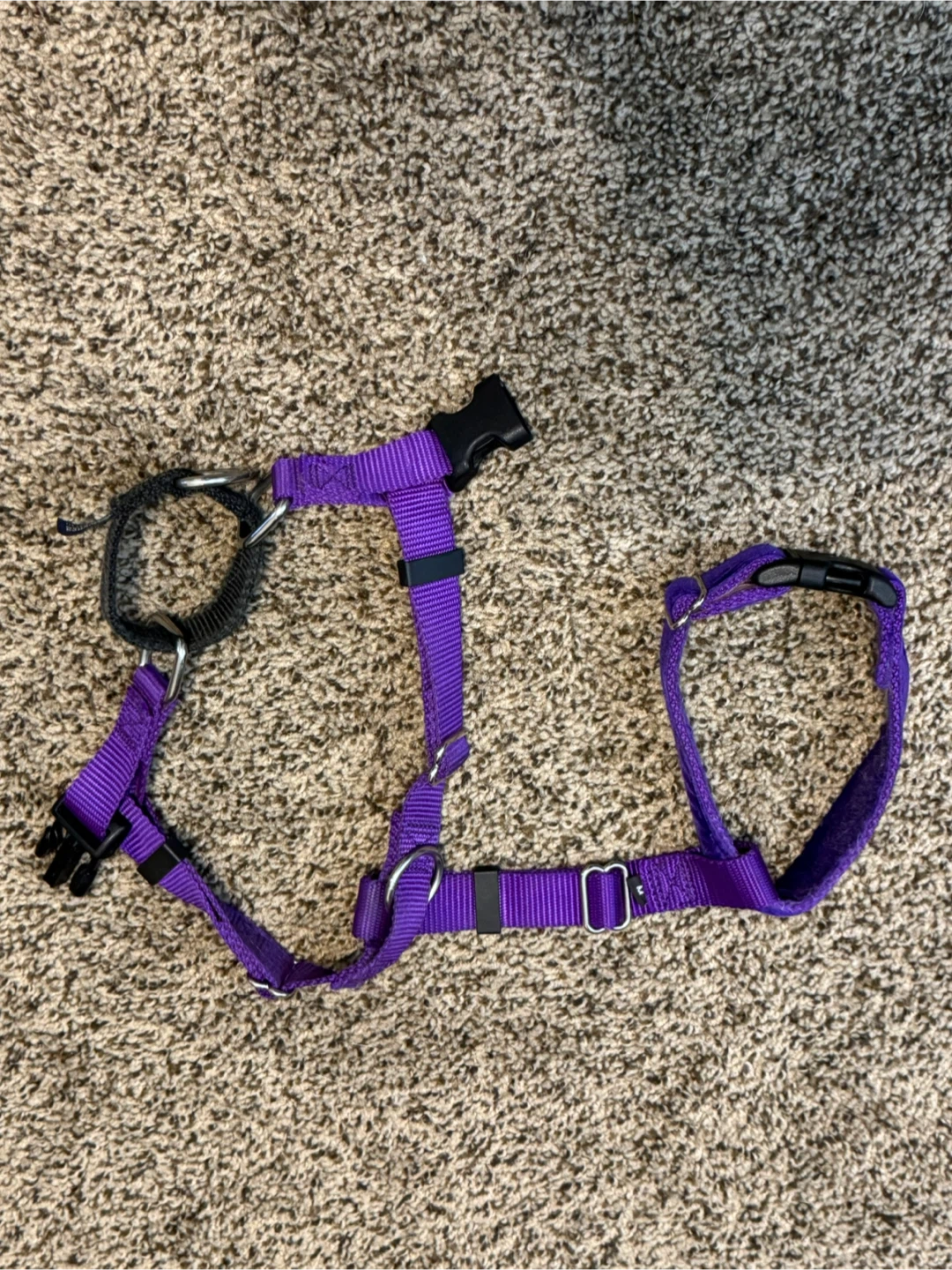 Dog Leash & Harness Set - photo 2