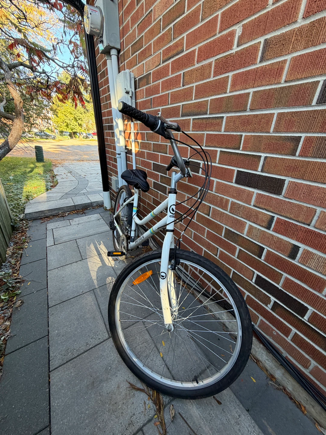 Everyday Traveler White Bike - photo 2