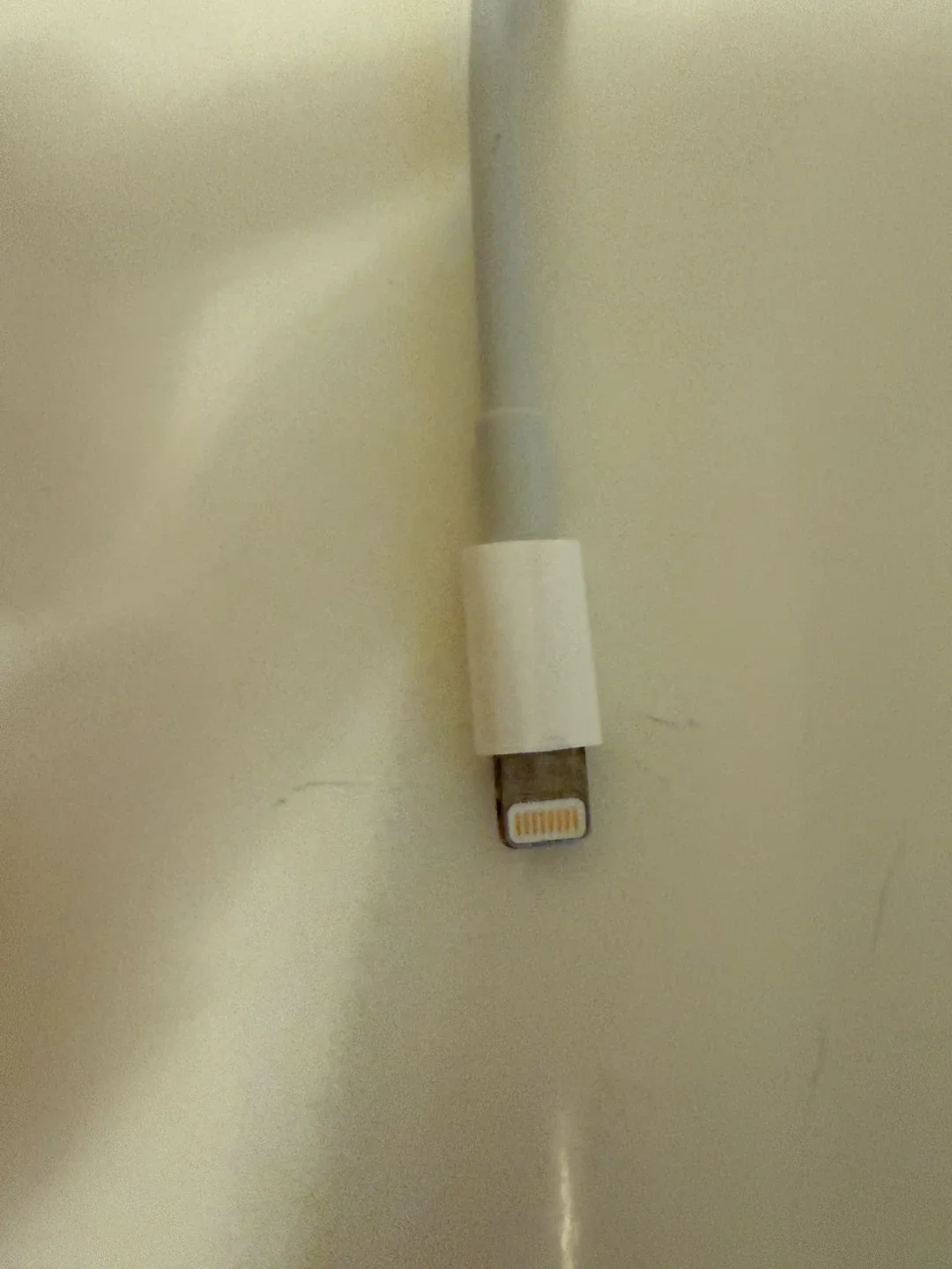 Apple Lightning to USB 3 Camera Adapter image indicator(4)