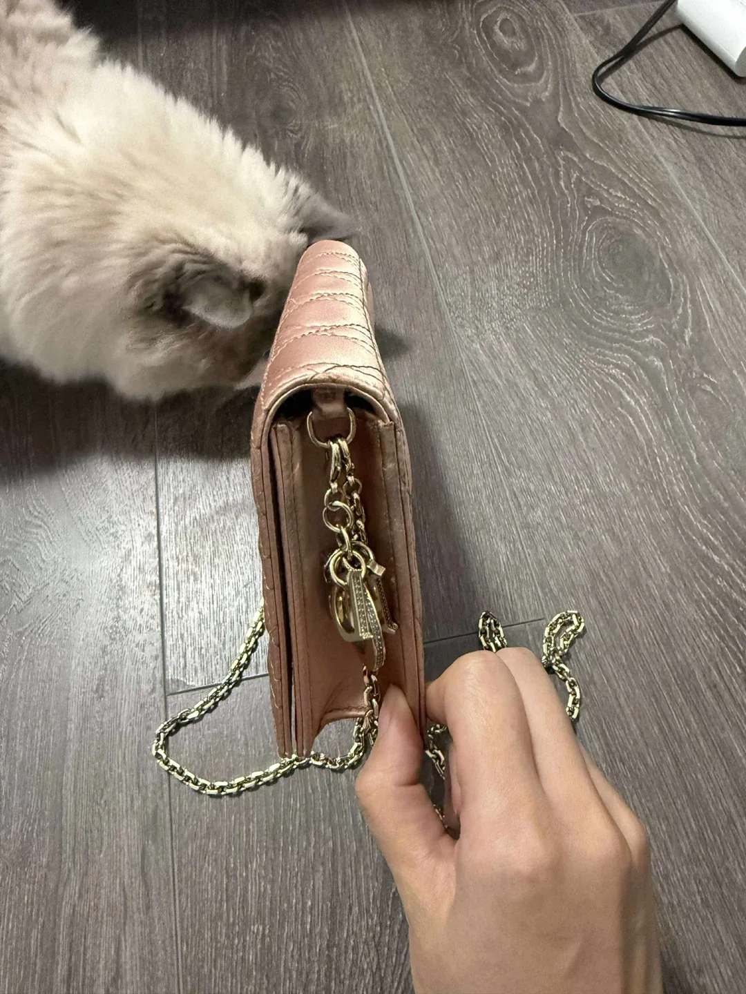 Dior WOC Wallet on Chain satin Bag - Pink image indicator(3)