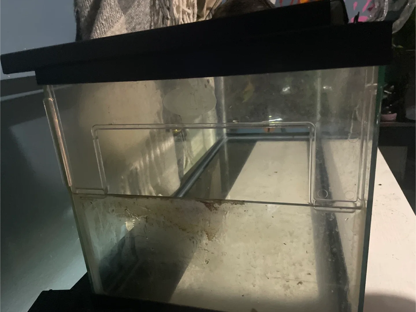 Fish Tank image indicator(2)