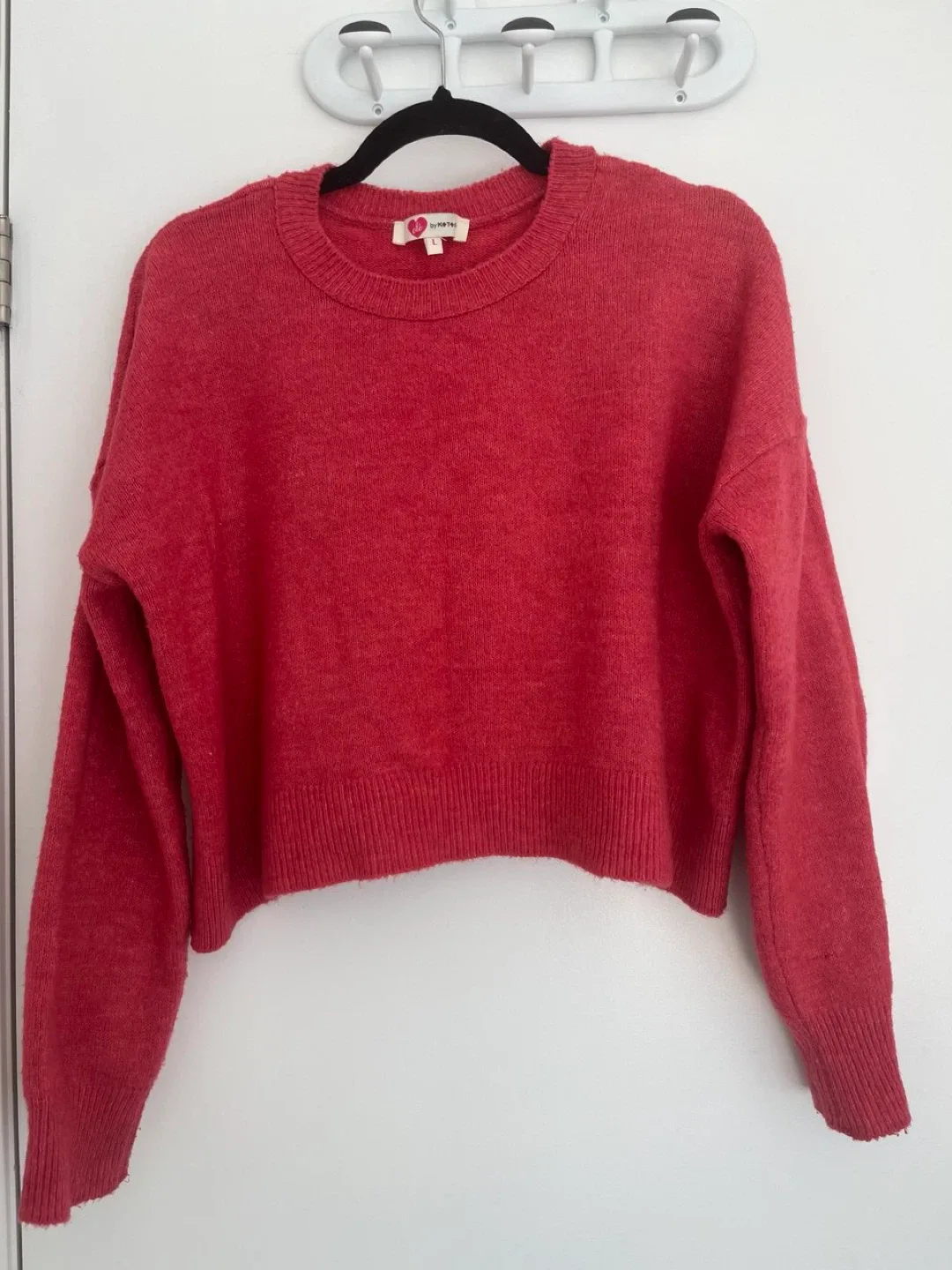 Red Knit Sweater thumbnail