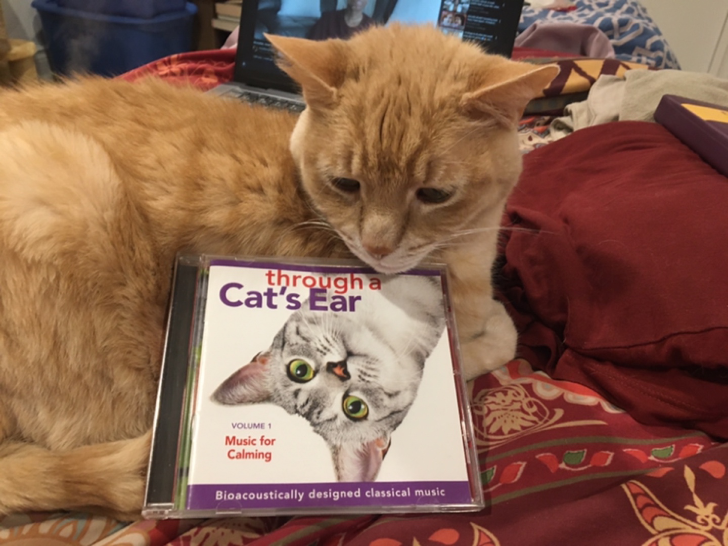 Through a Cat's Ear: Music for Calming CD