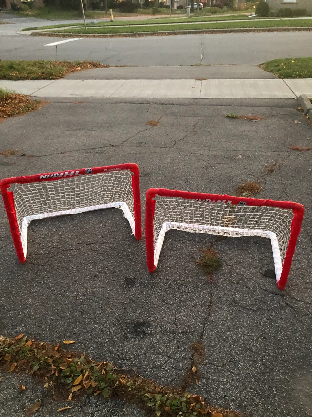 NHL Hockey Sticks and Mini Net Set thumbnail
