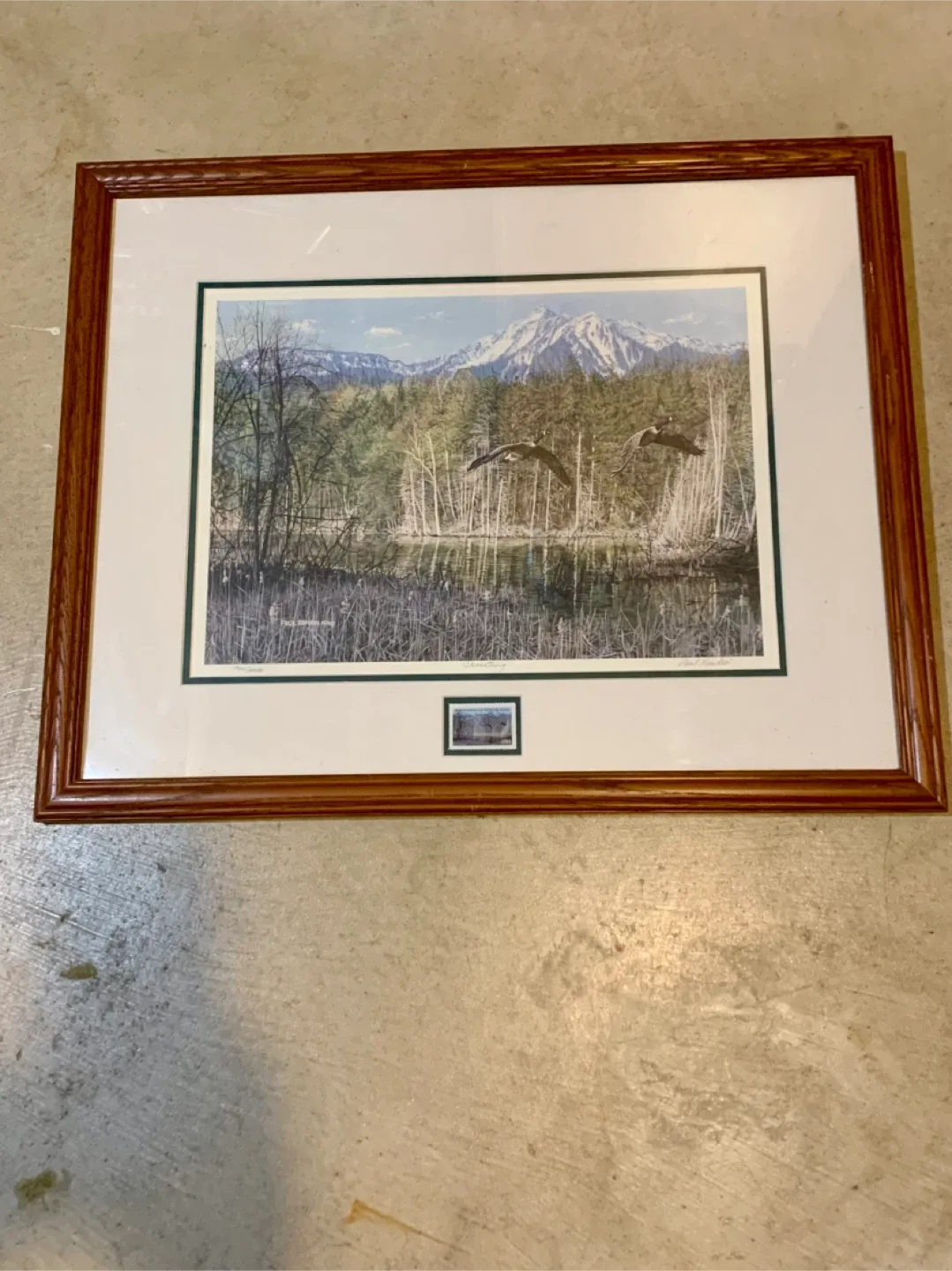 PRICE DROP Framed North American Wildlife Limited Edition Print image indicator(2)