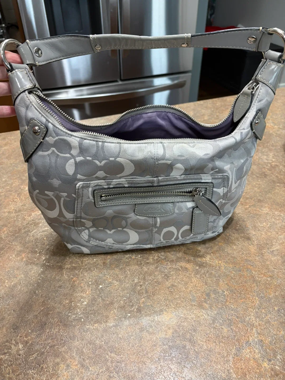 Coach Signature Hobo Bag - Grey