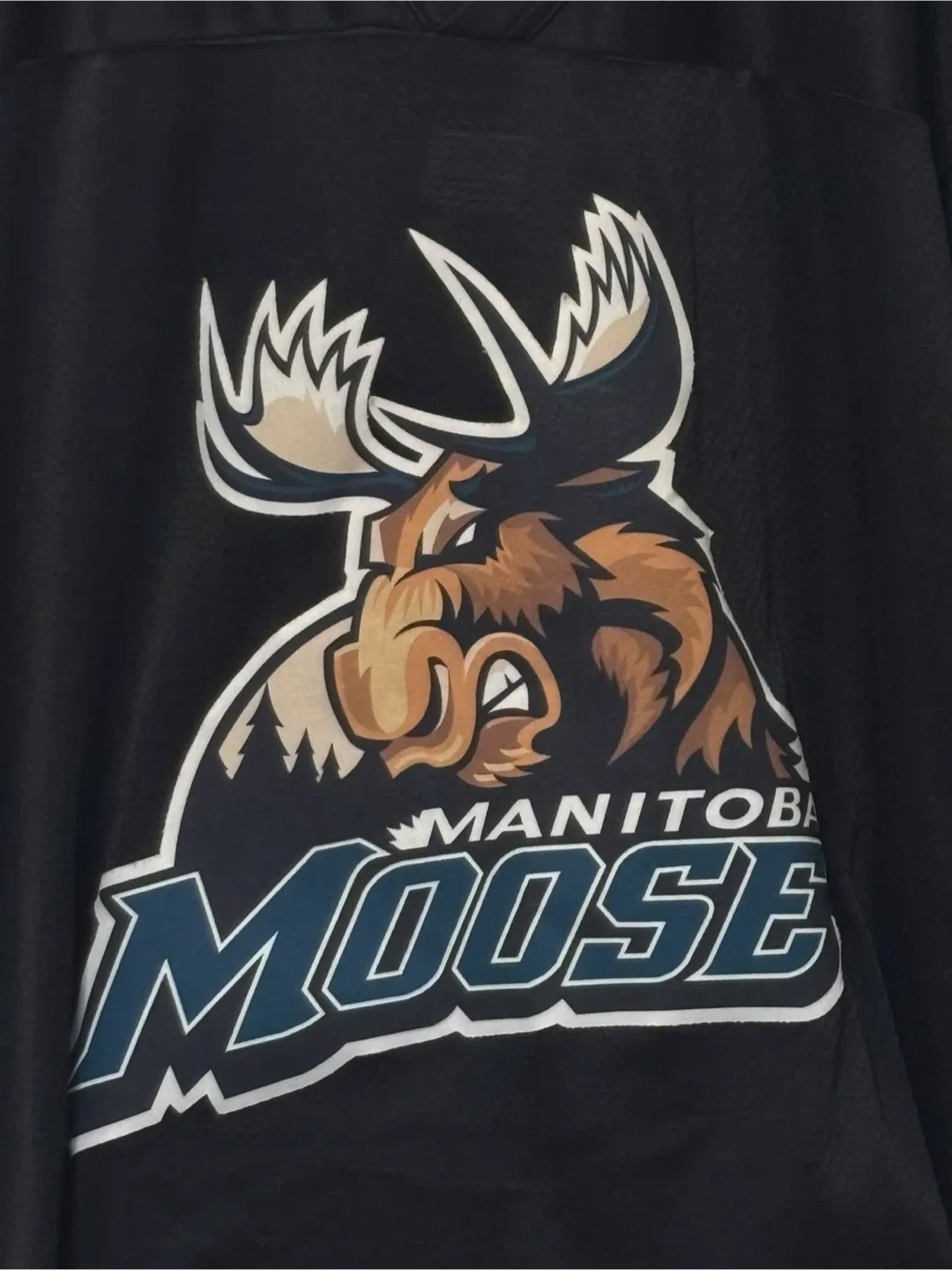 CCM Manitoba Moose Youth Jersey - L/XL image indicator(2)