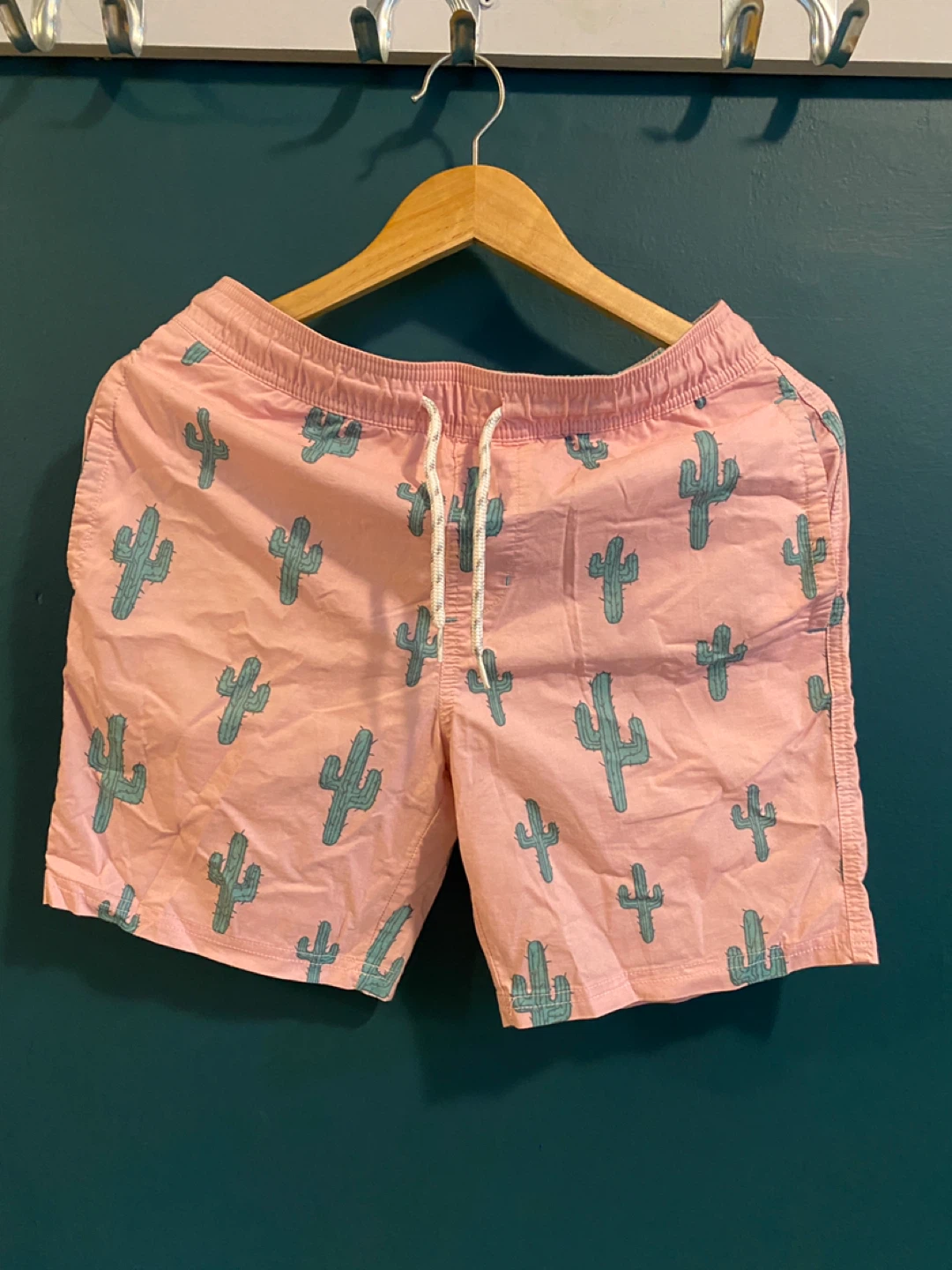 Goodfellow & Co. Cactus Print Swim Shorts - Size S