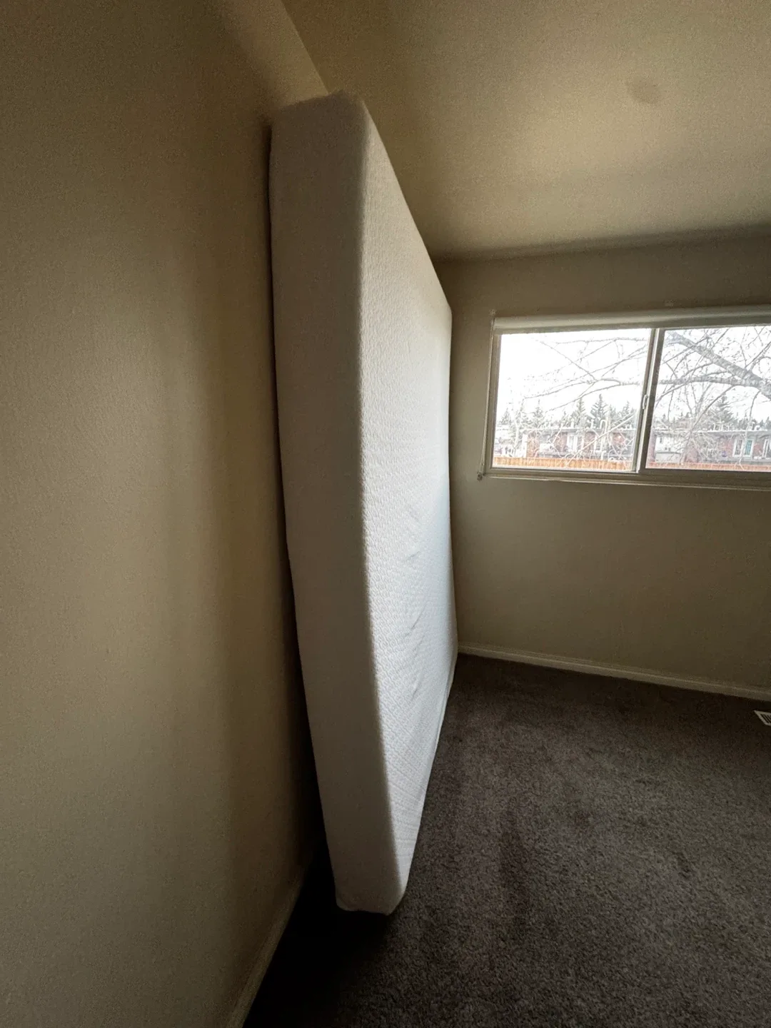 Zinus 8 Inch Ultima Queen Mattress image indicator(2)