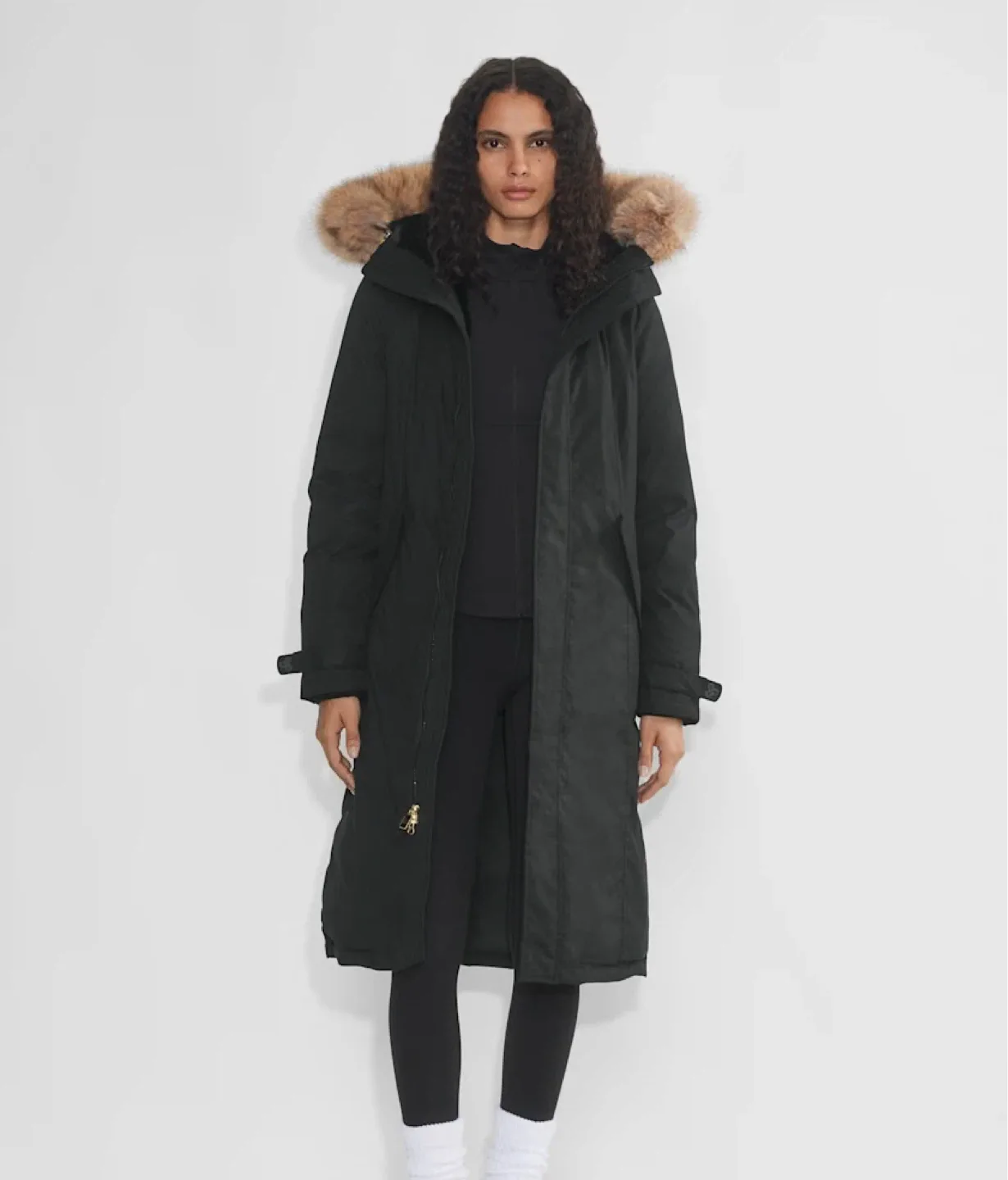 Aritzia Golden Summit Long Parka