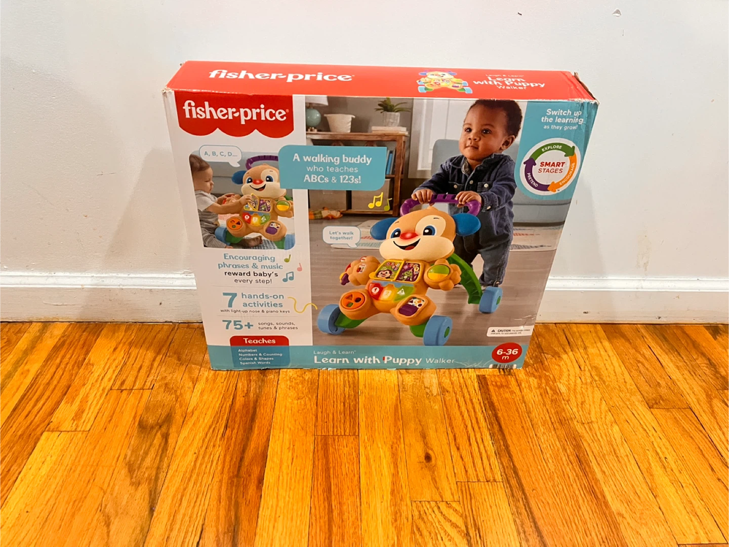 Fisher-Price Learn with Puppy Walker (6-36m)