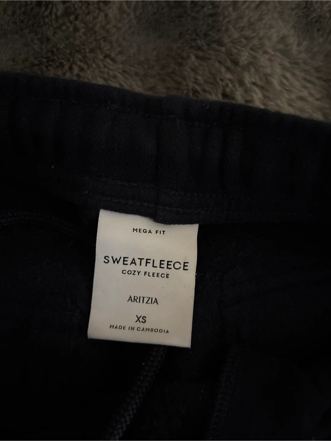 Aritzia Sweatfleece Cozy Fleece Mega Cargo Pant XS image indicator(2)